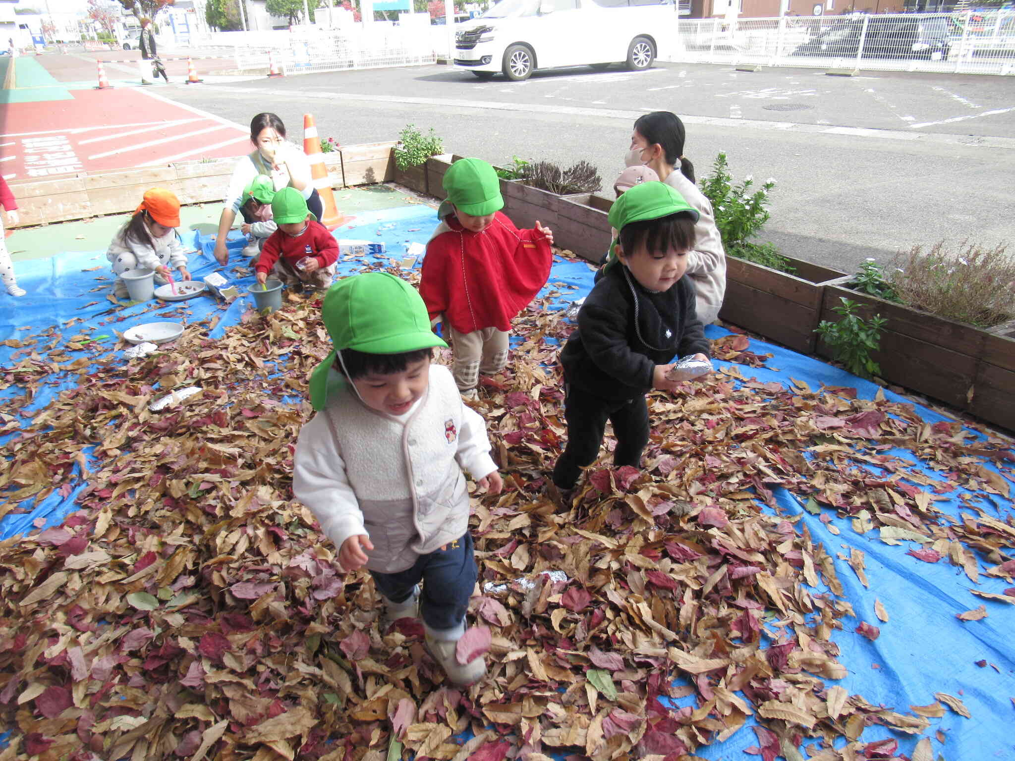 落ち葉の中から、おいもを見つけるよ♪
