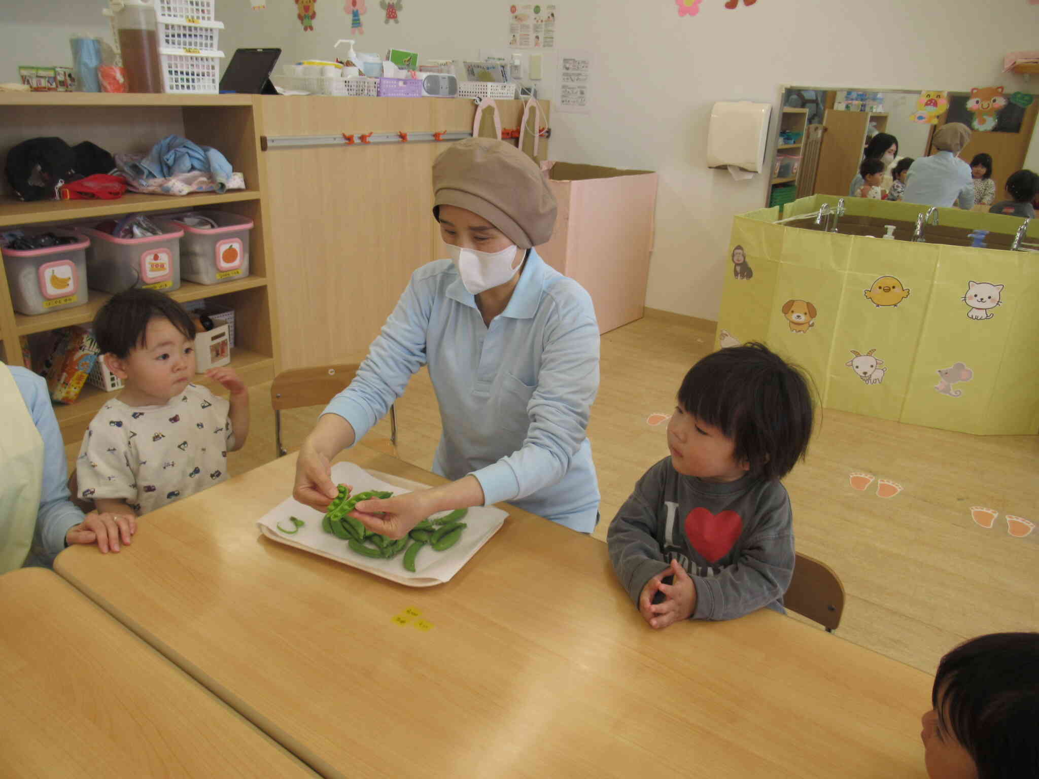 食育　スナップエンドウ