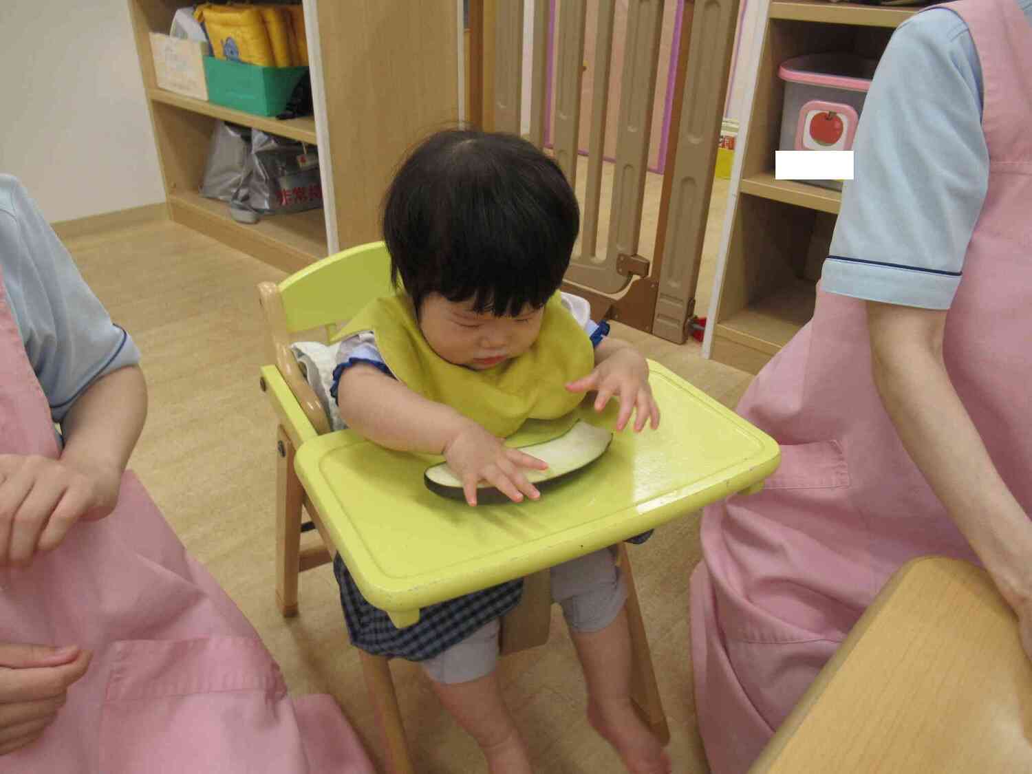 ナスってどんなもの？
