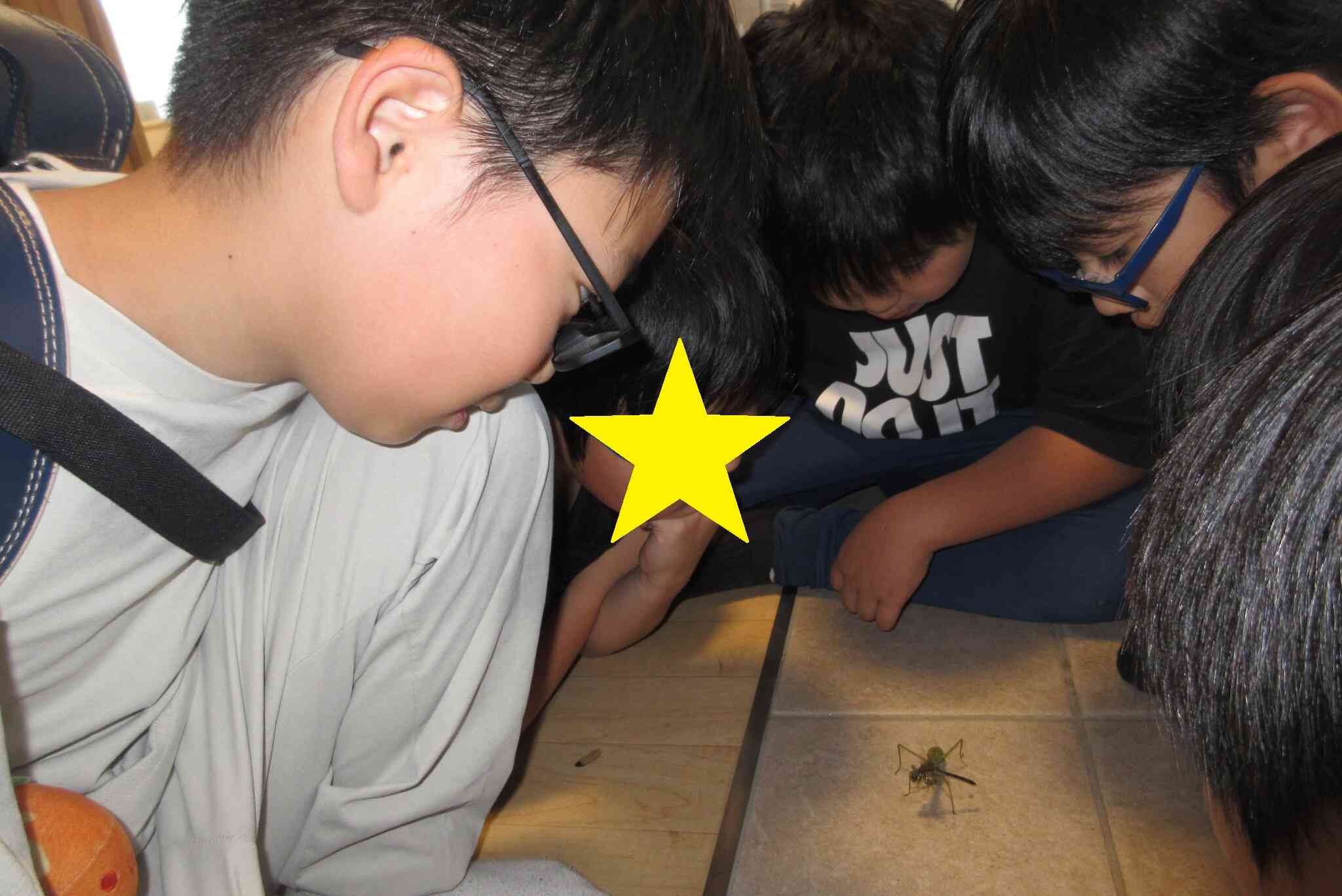 続・自然の摂理・・・