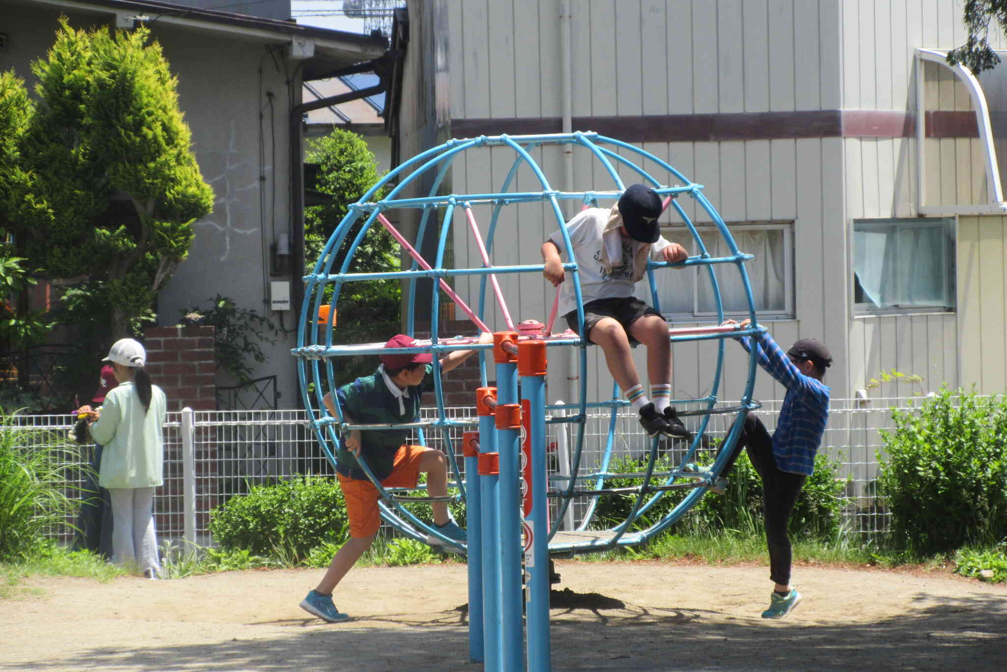 どうやって登ろうかな？
