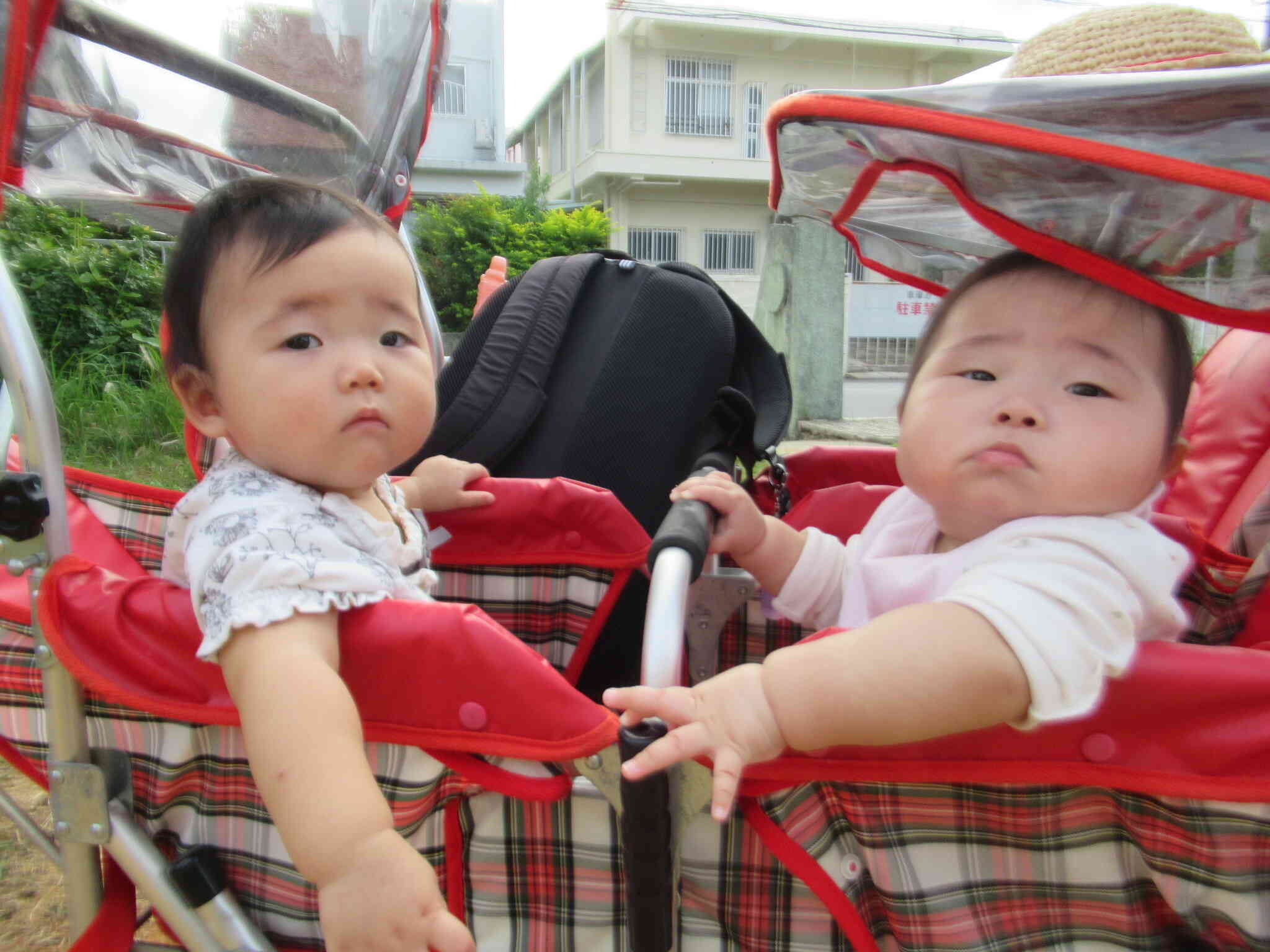 ぽかぽかお散歩日和