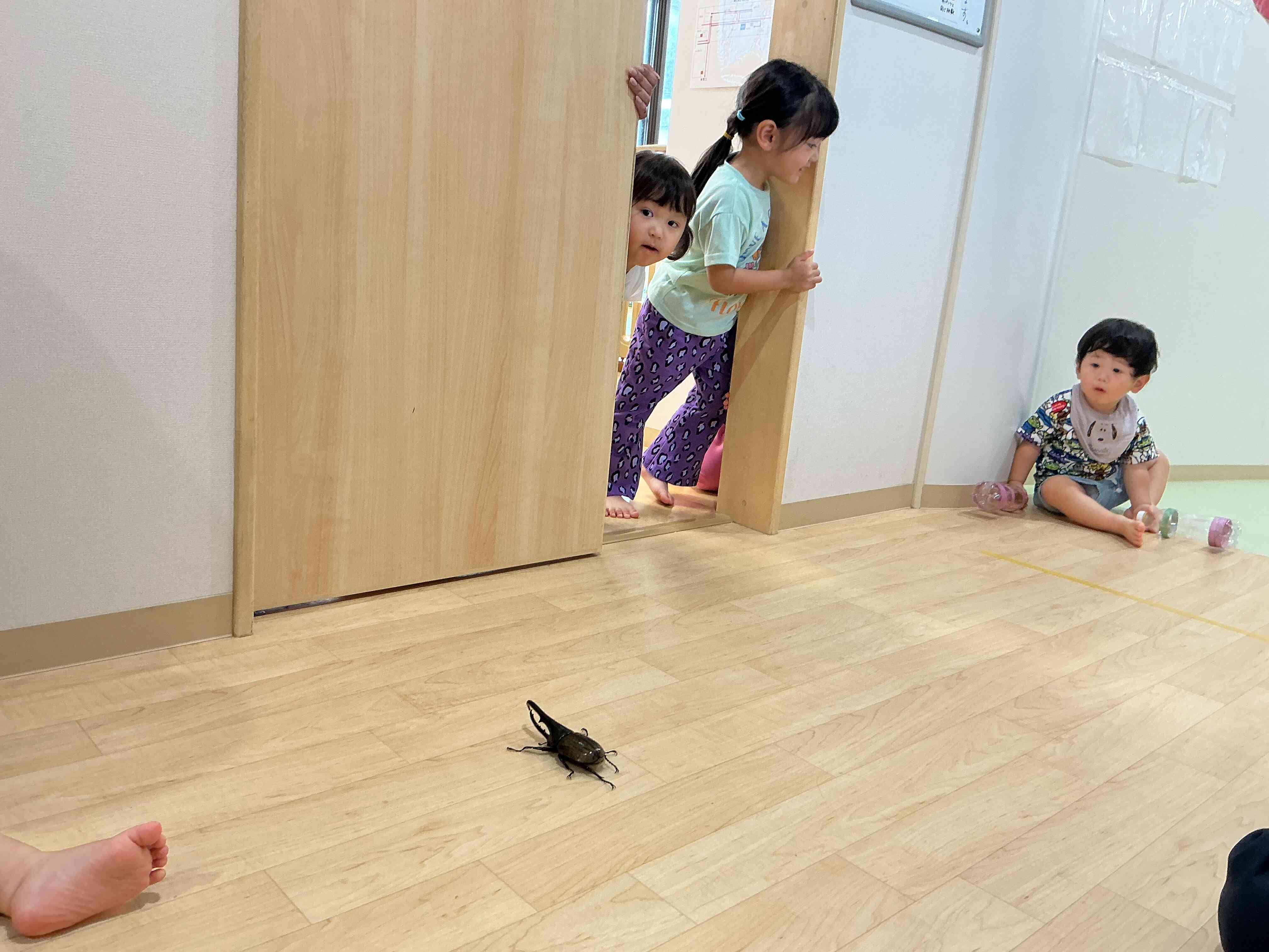 初めは恐る恐る覗いていましたよ!