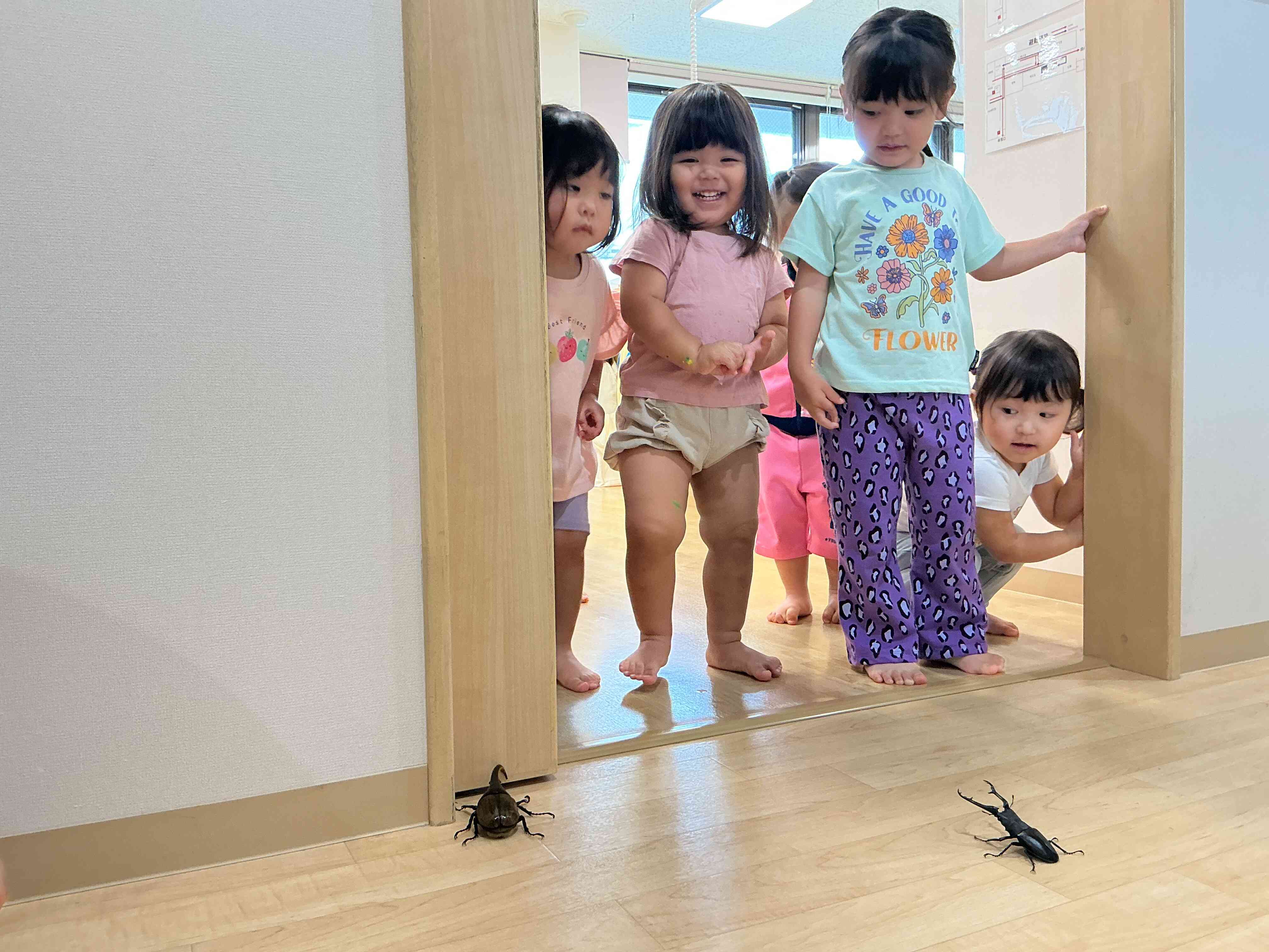ヘラクレスオオカブトとクワガタムシがやってきた！