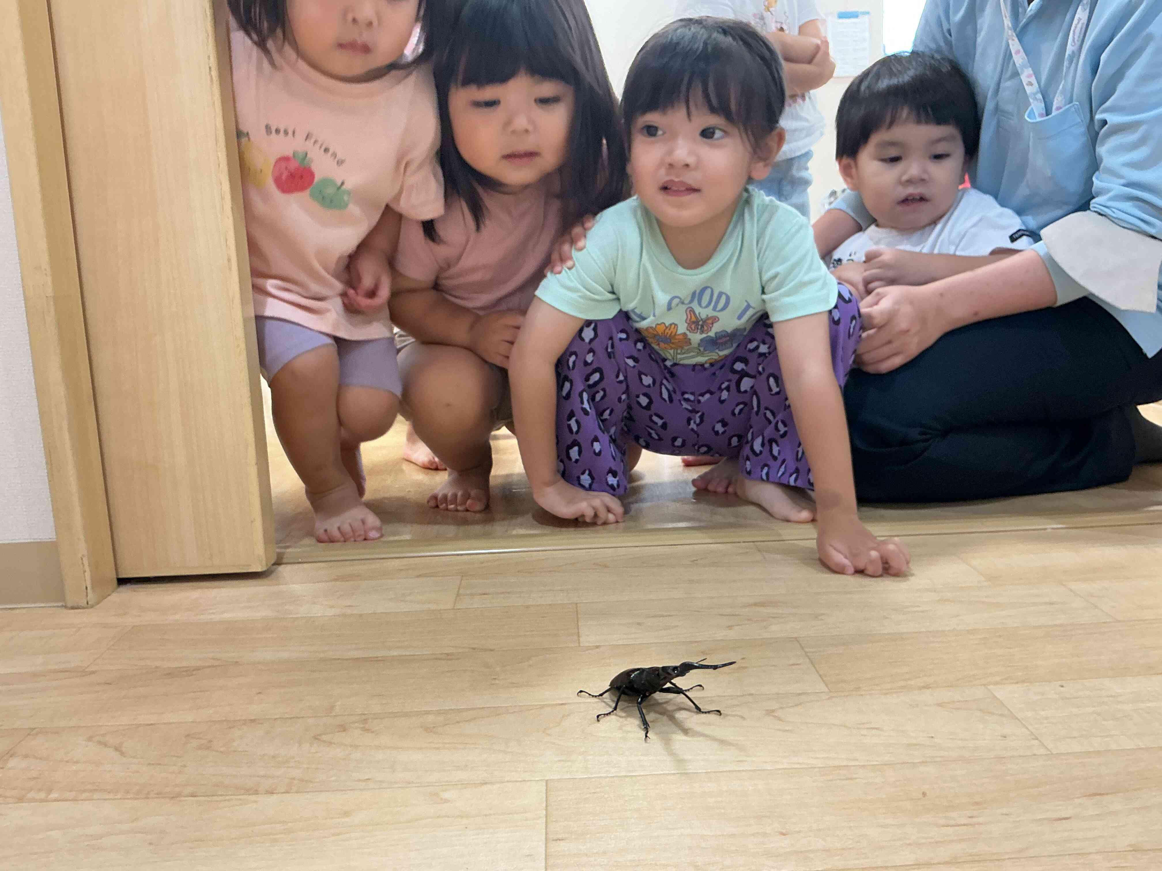 少し怖いけど、カッコイイな~!
