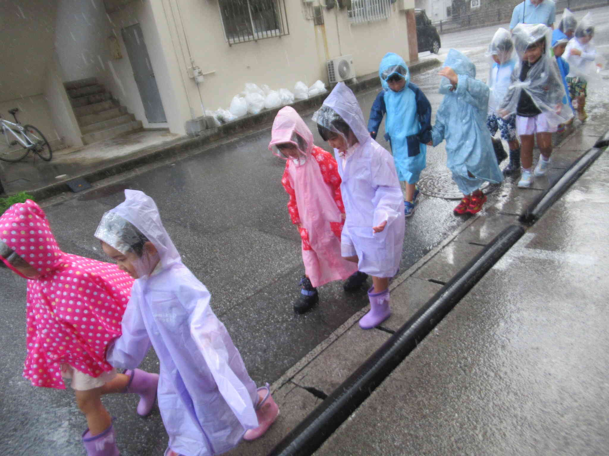 雨の日ならではの発見がいっぱい！
