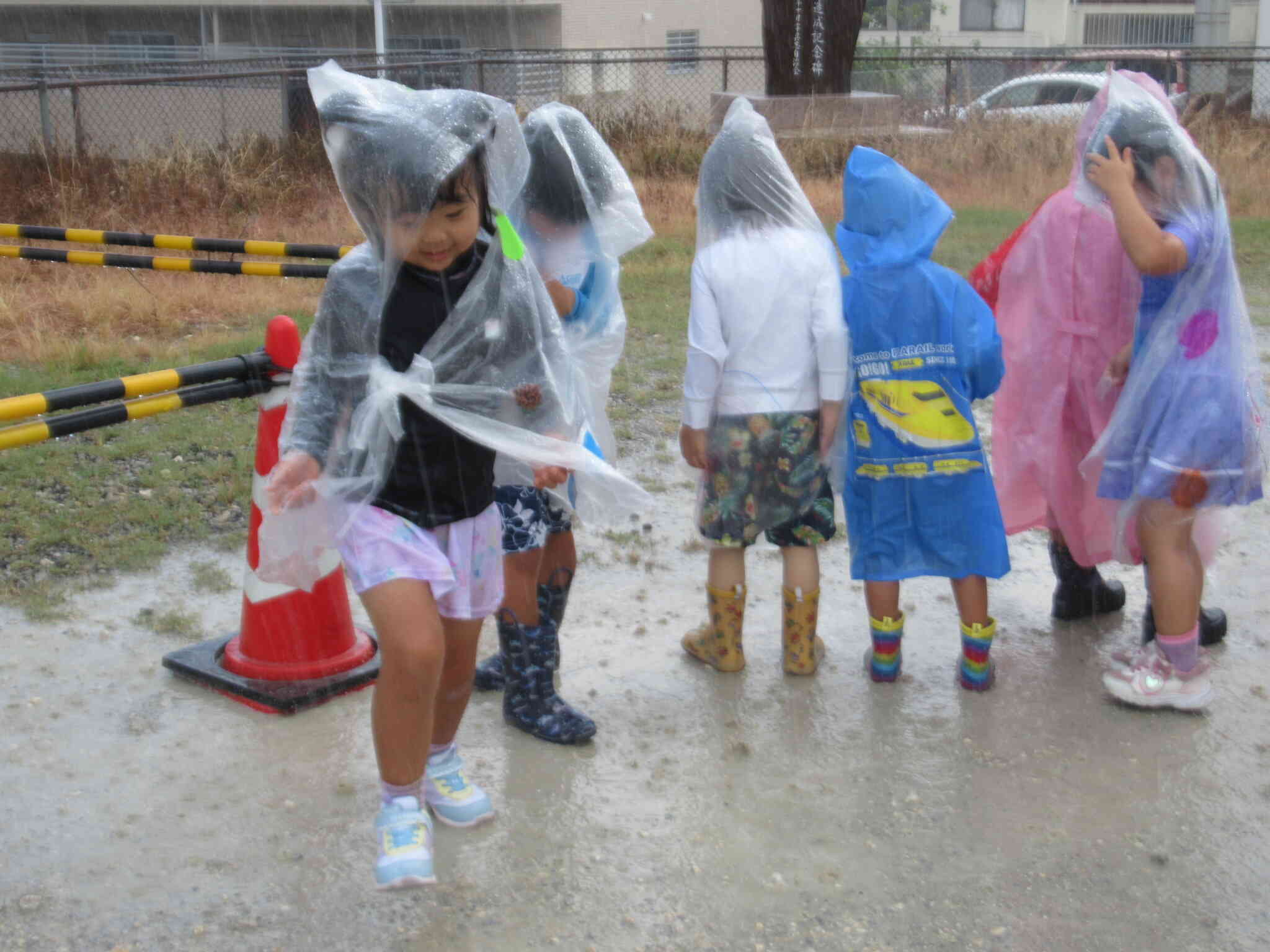 水たまりにも興味津々です！