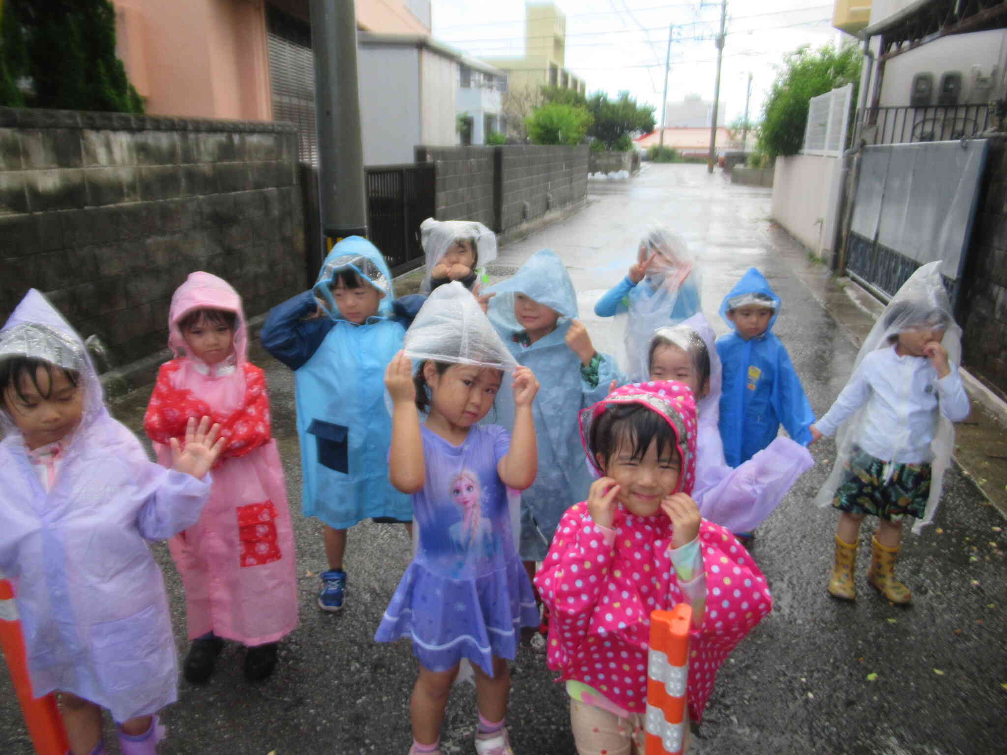 急遽！雨の日散歩へ♪