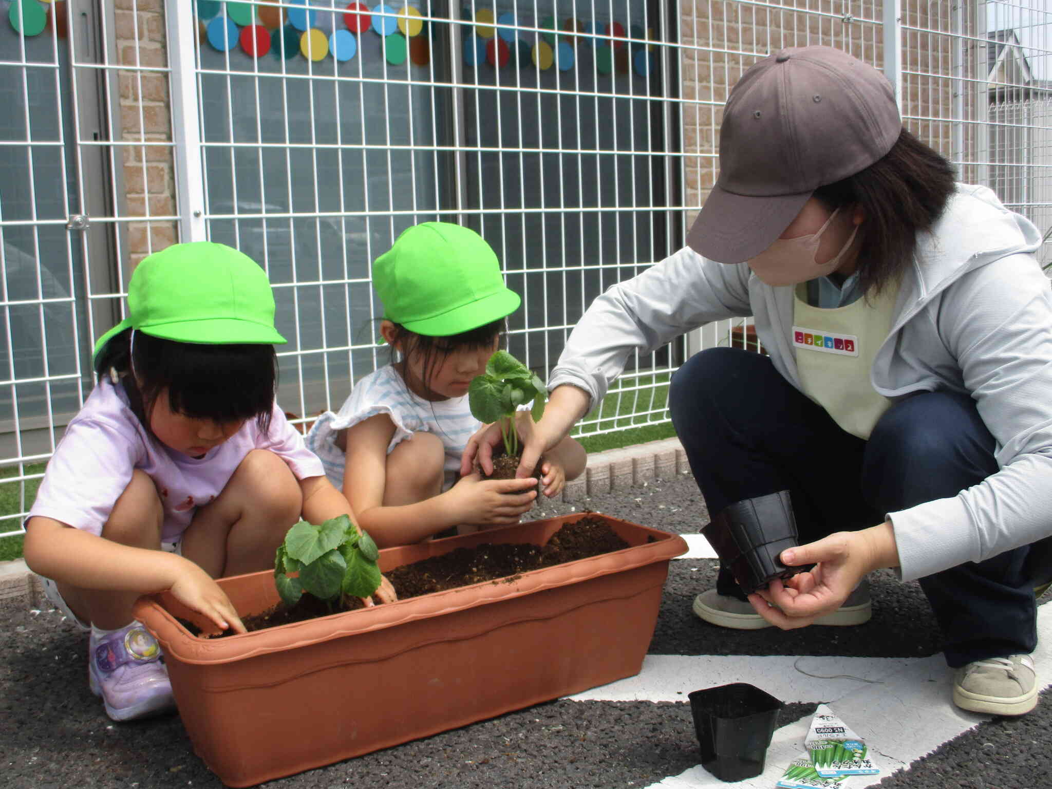 優しく植えよう