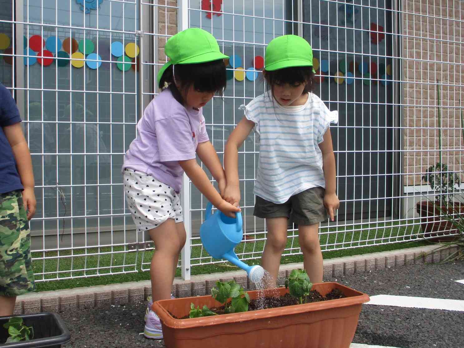 お水をたっぷりあげたよ