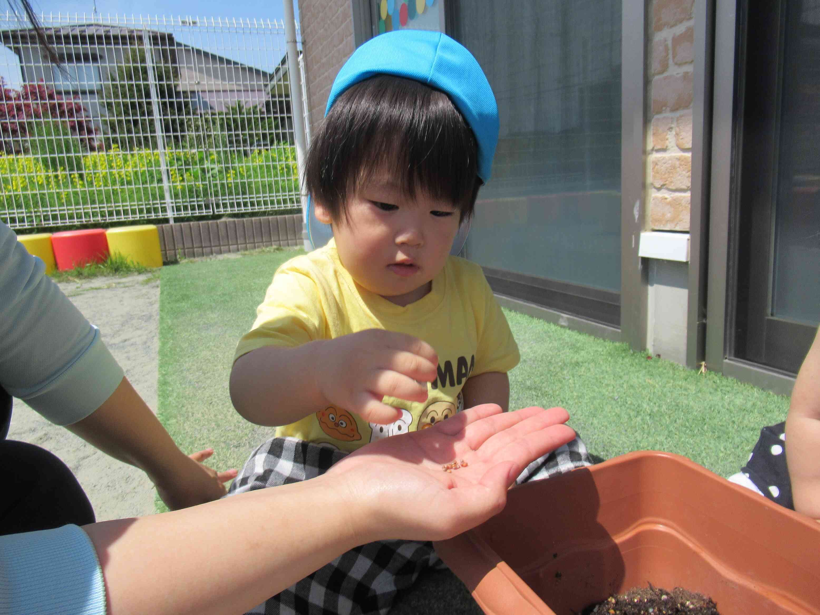 小さな種を植えるよ