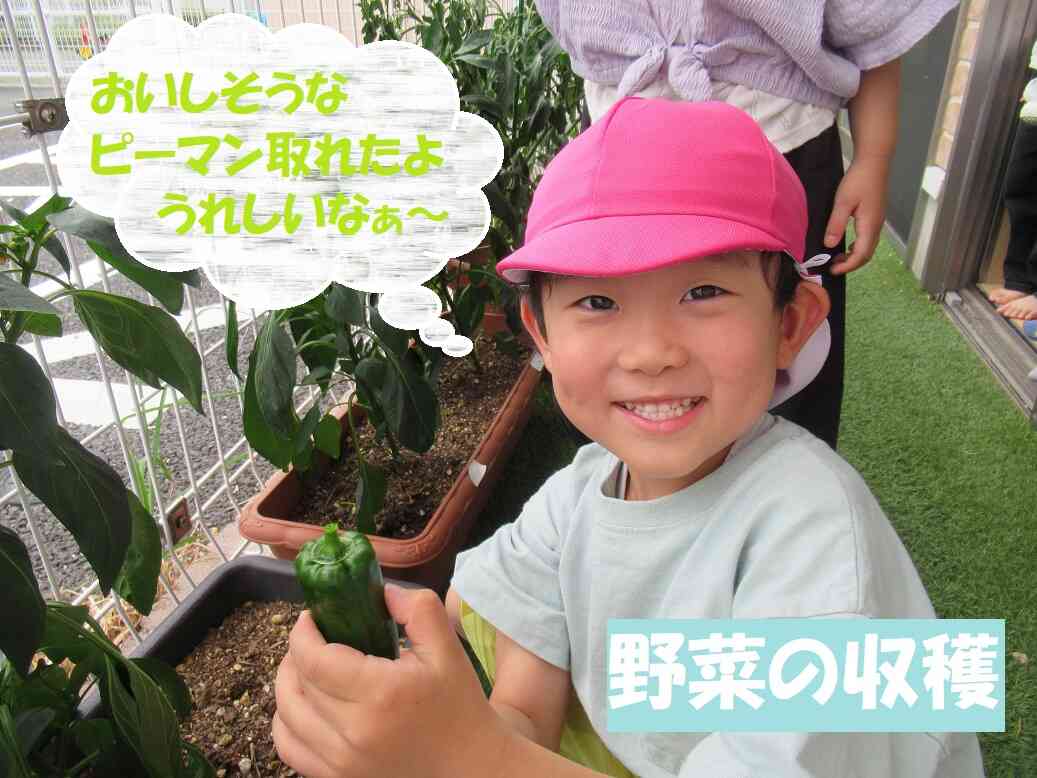 ニチイキッズ八戸しおかぜ保育園