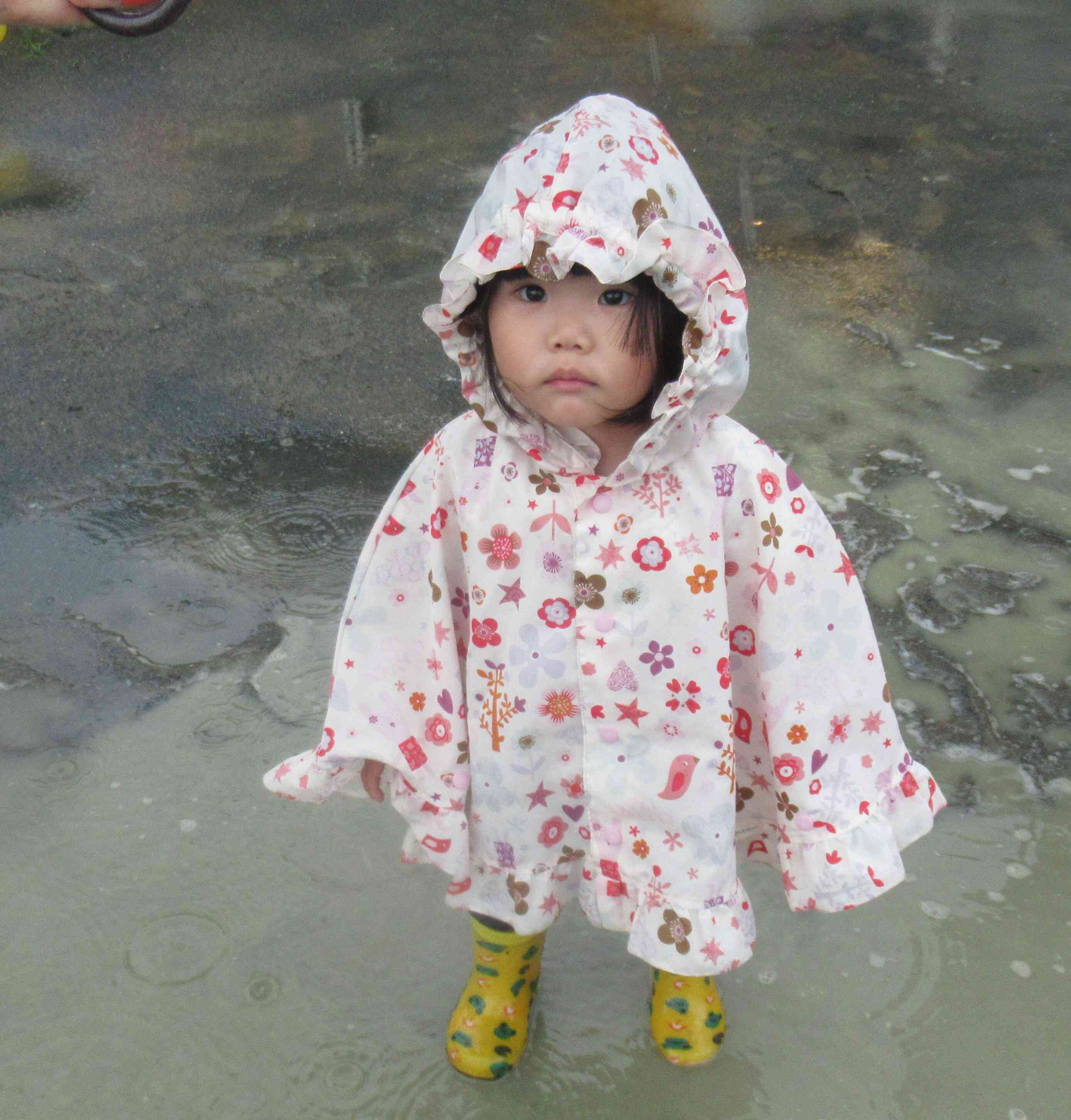 水たまりに入ってみたよ。