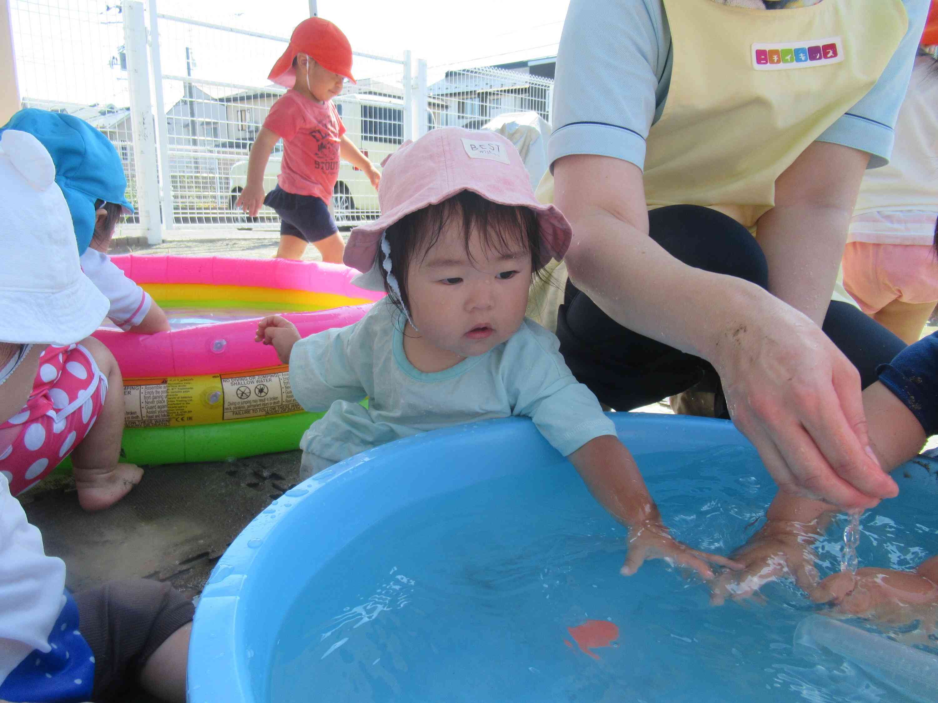 水遊び（ひよこ組）