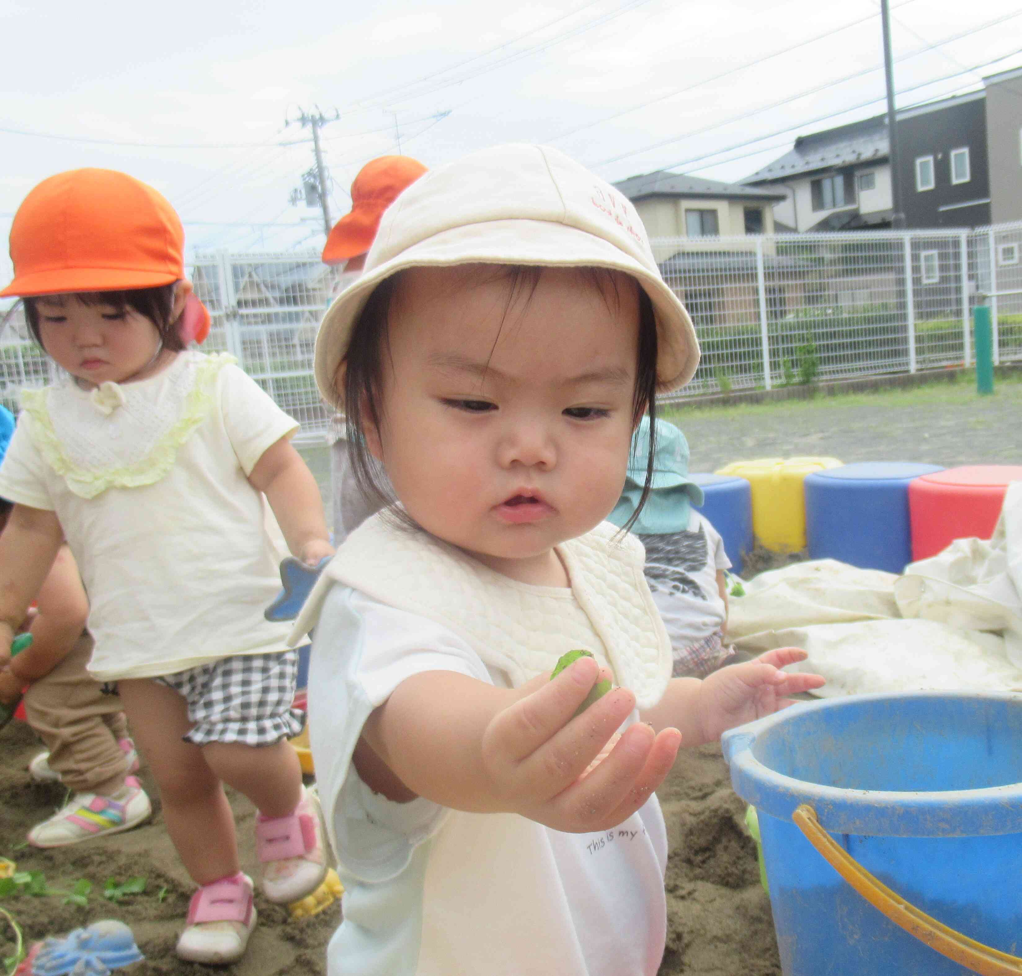 ミントの葉っぱ、見つけたよ。
