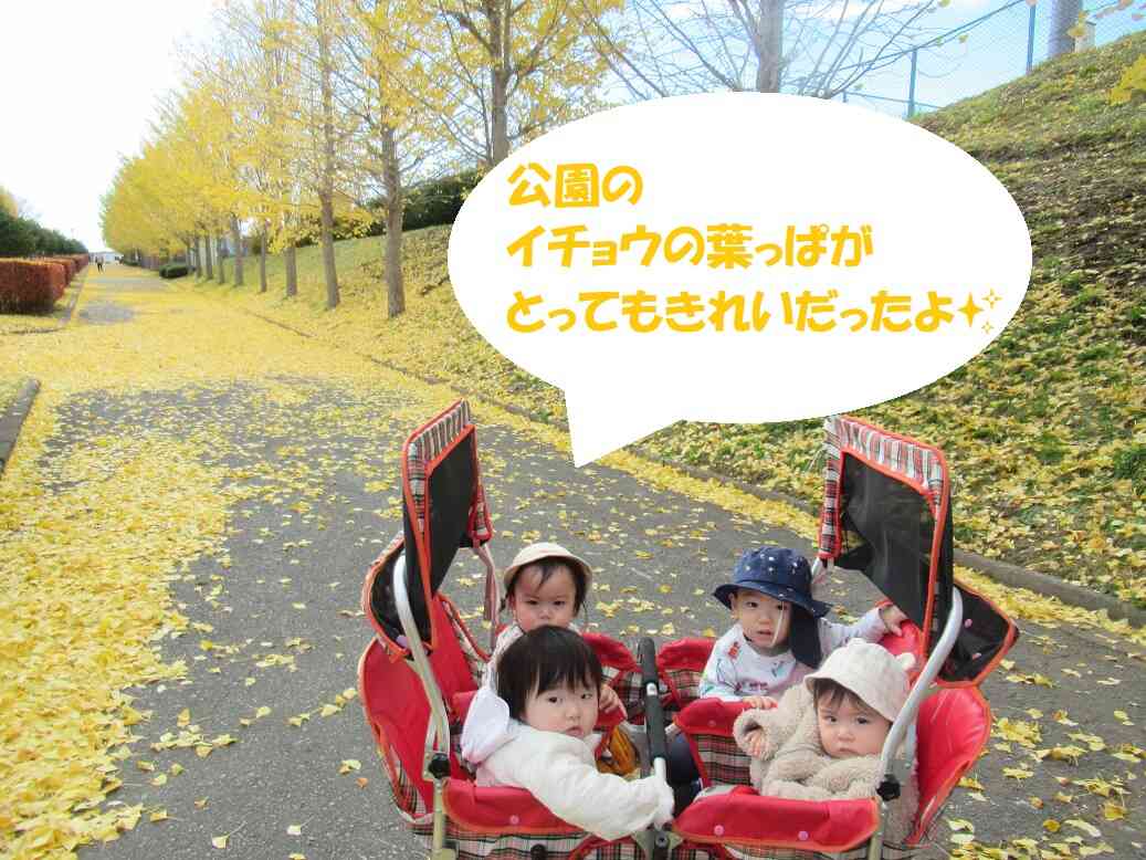 公園にお散歩に行ってきたよ！