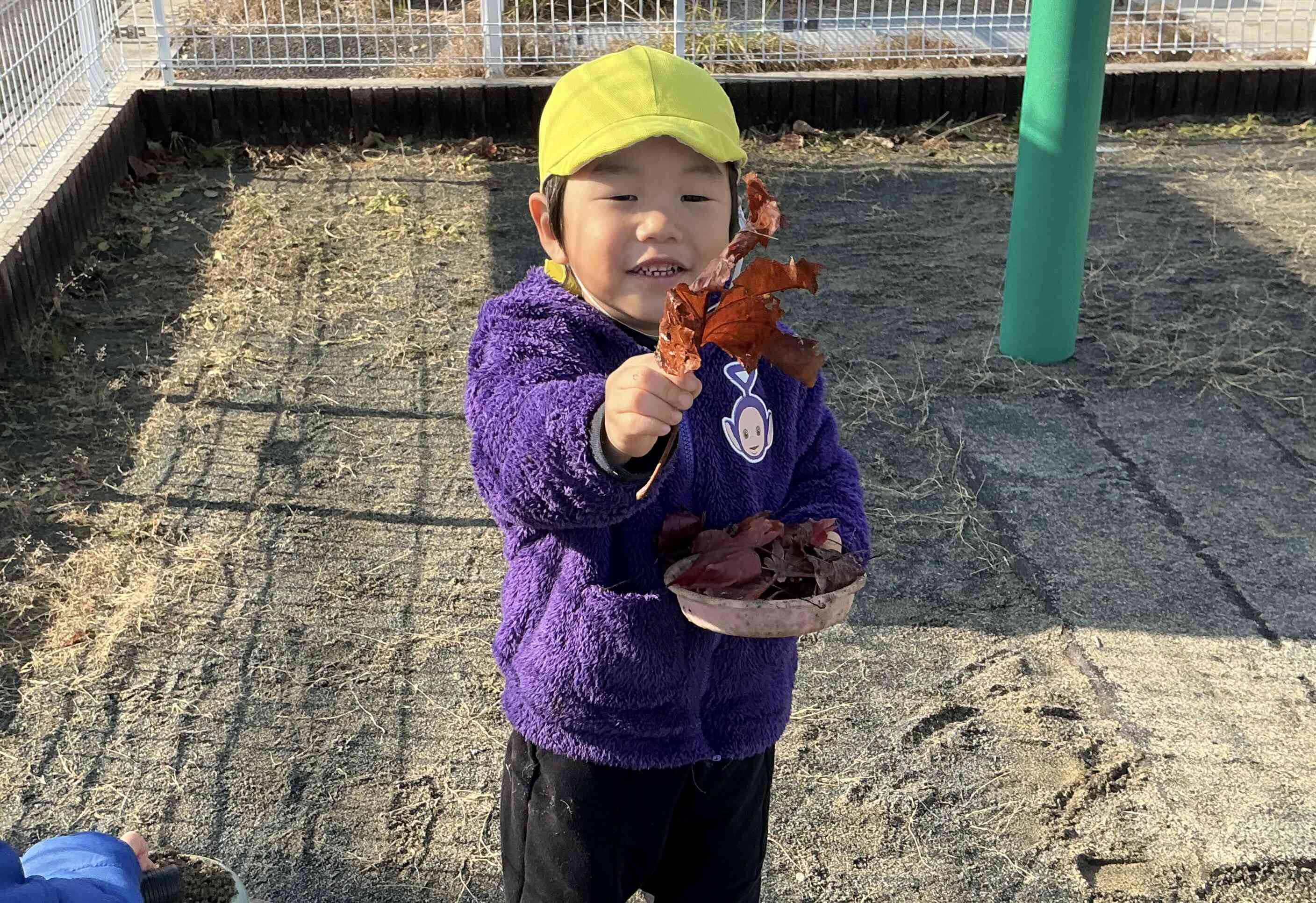 大きい葉っぱもあったよ