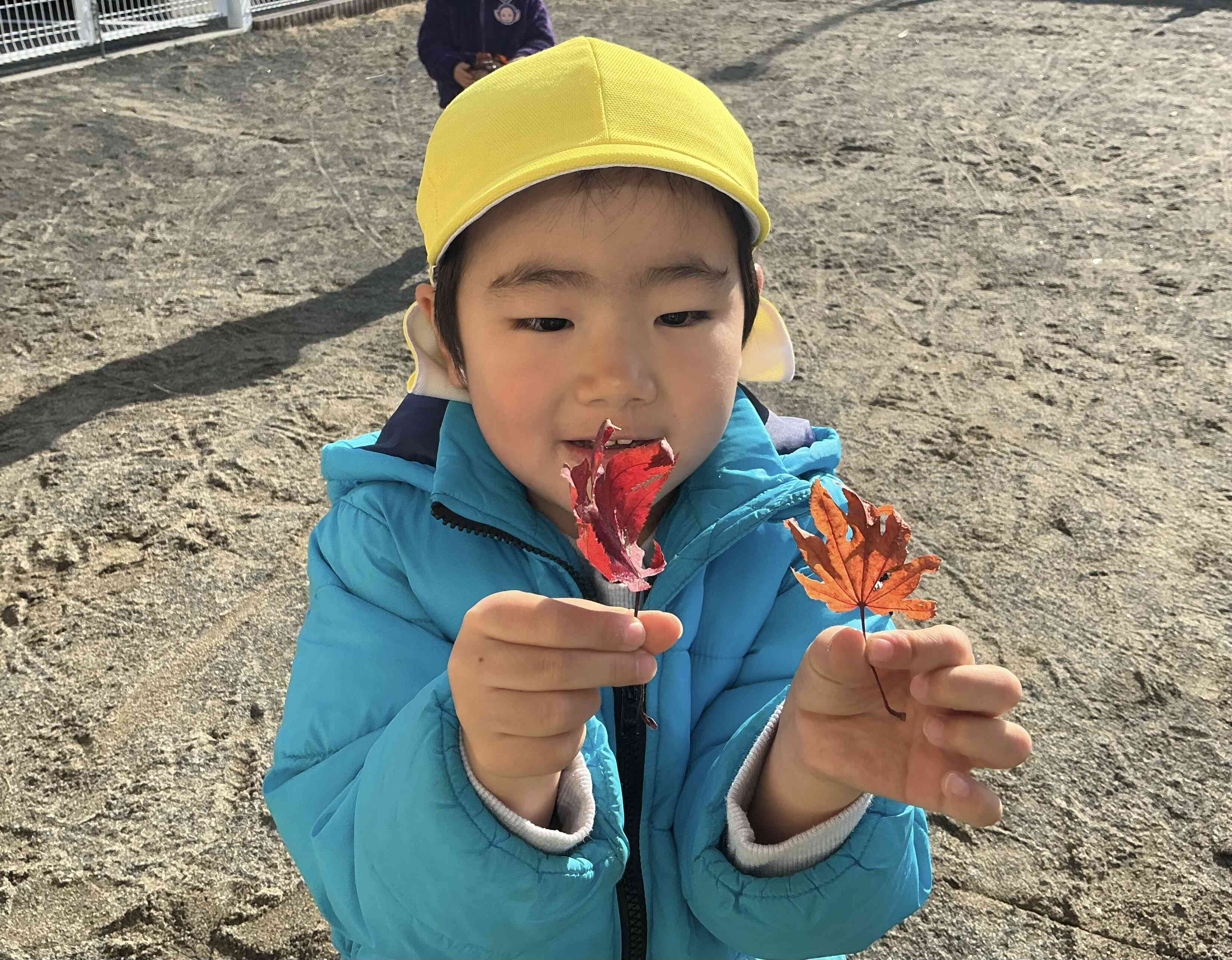 園庭あそび(りす組)