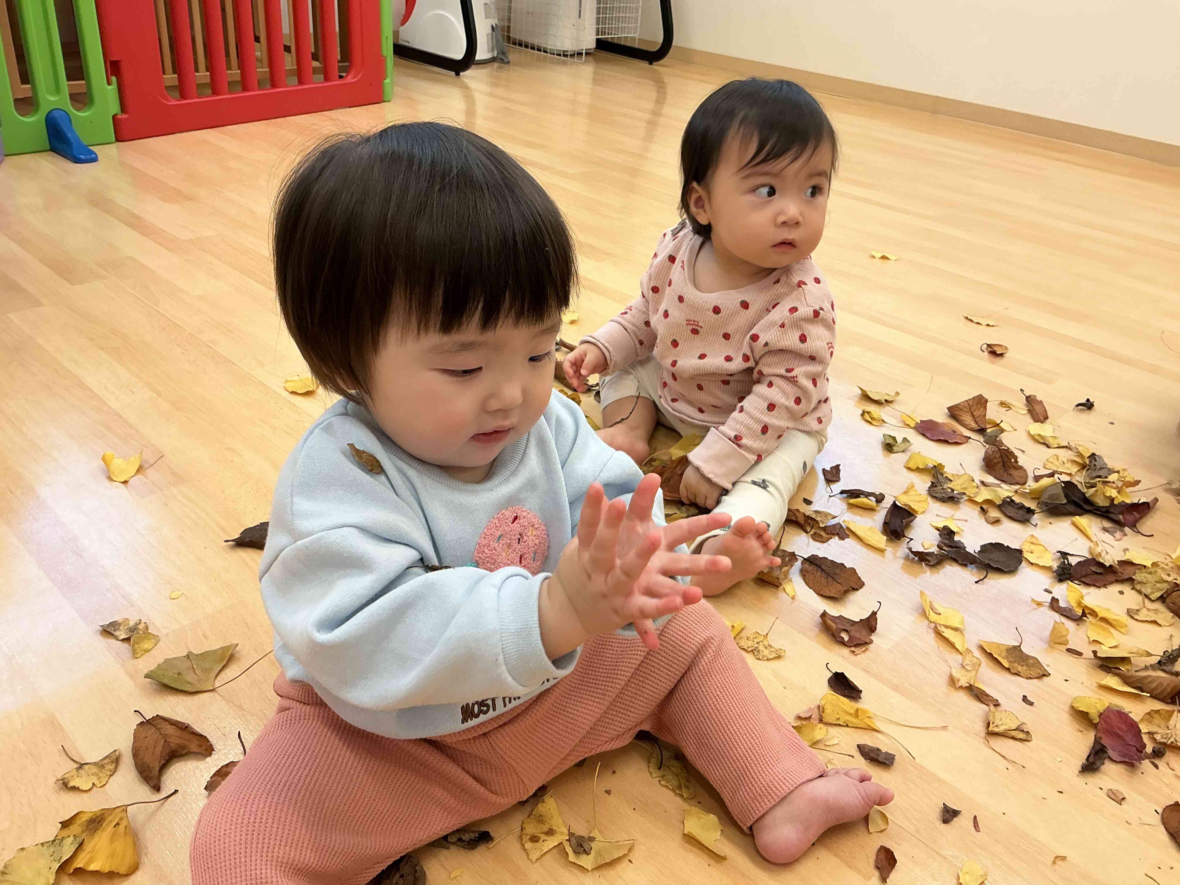 落ち葉遊び（ひよこ組）