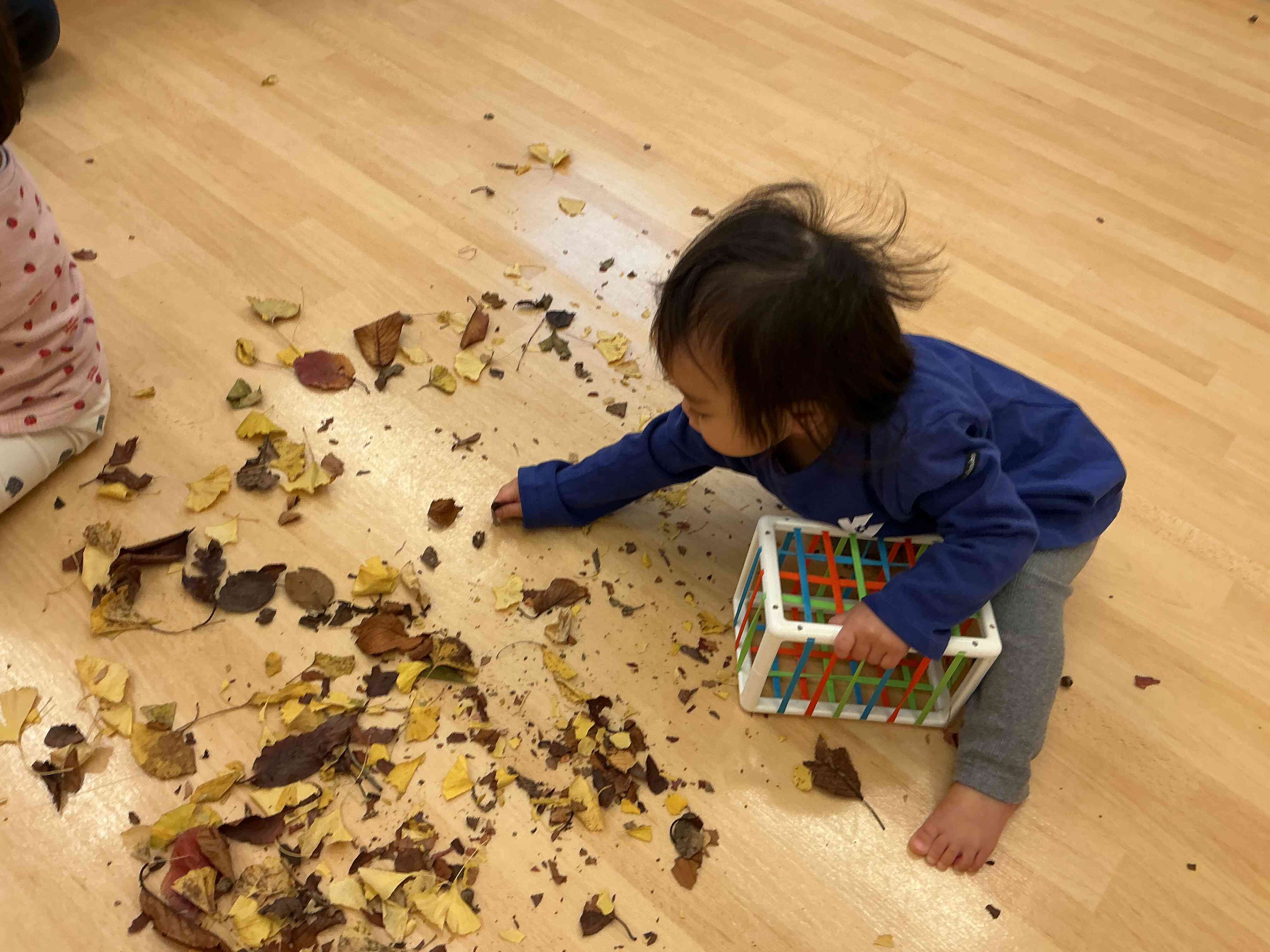 ちいさい葉っぱのカケラ、みいつけた。