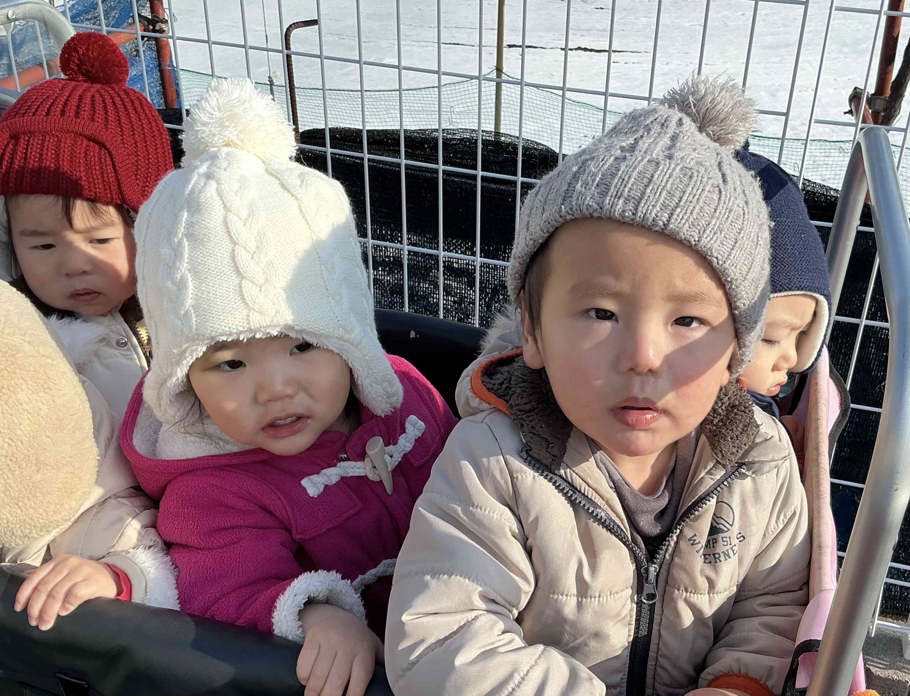 カートにしっかり掴まったよ。