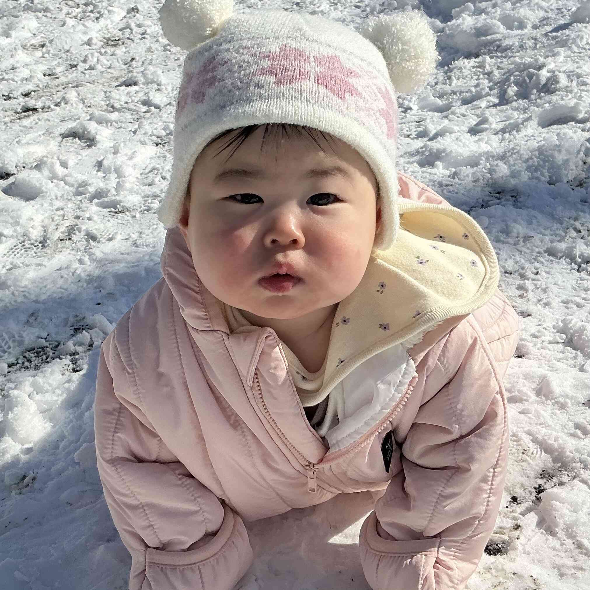 雪の上