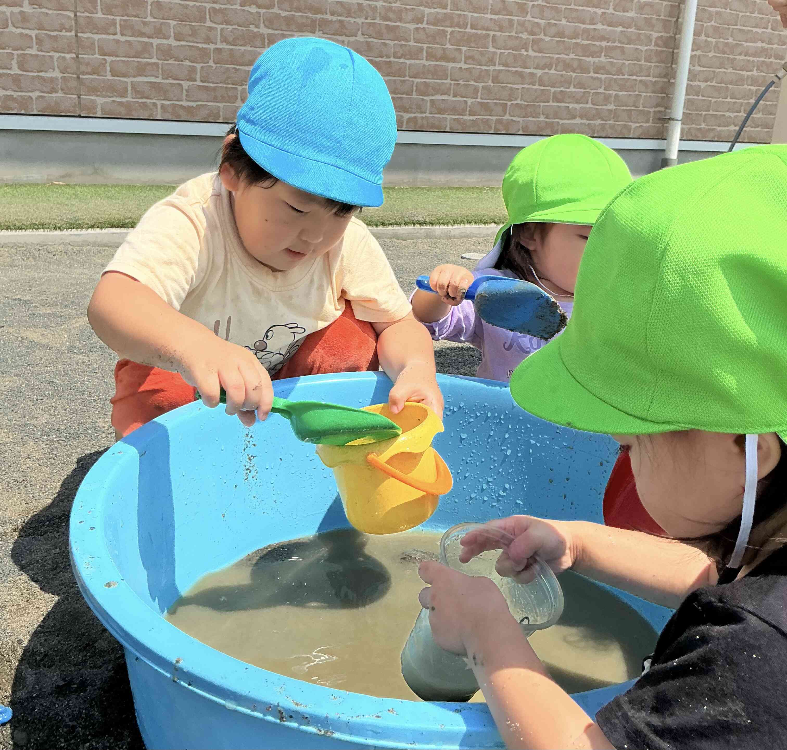 初夏の園庭遊び（2歳児）