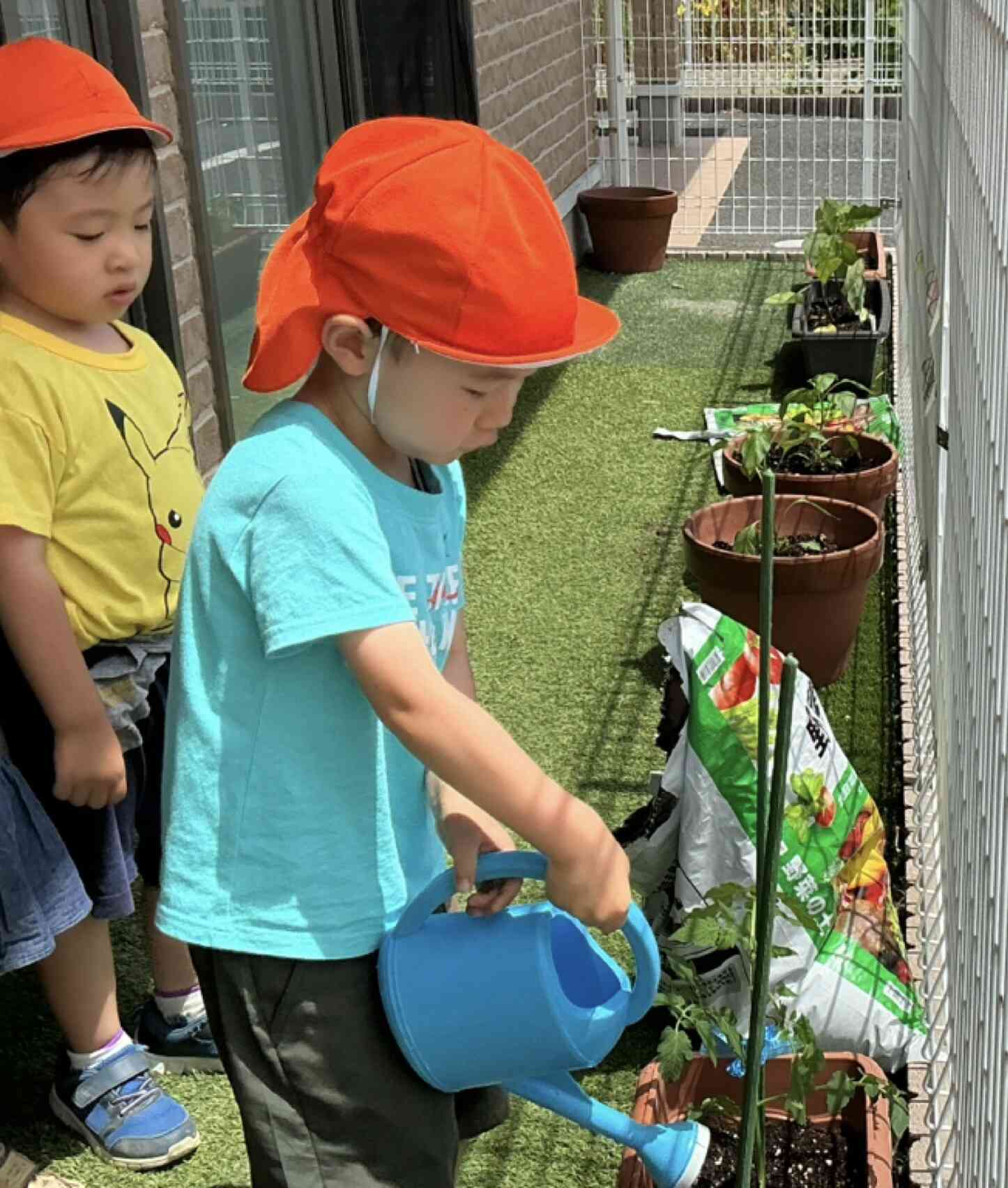 上手に植えたね