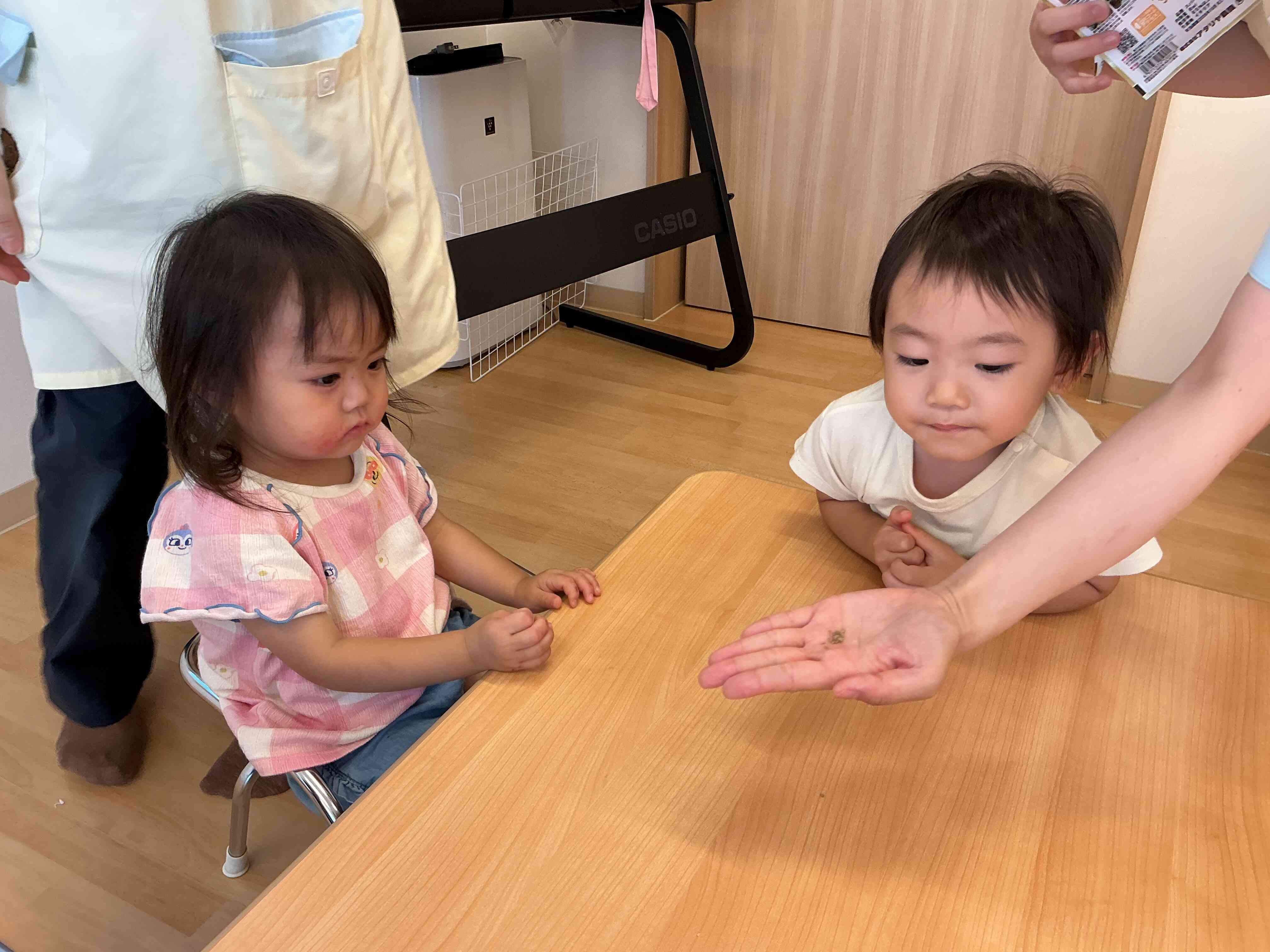 種まきをしたよ（１歳児）
