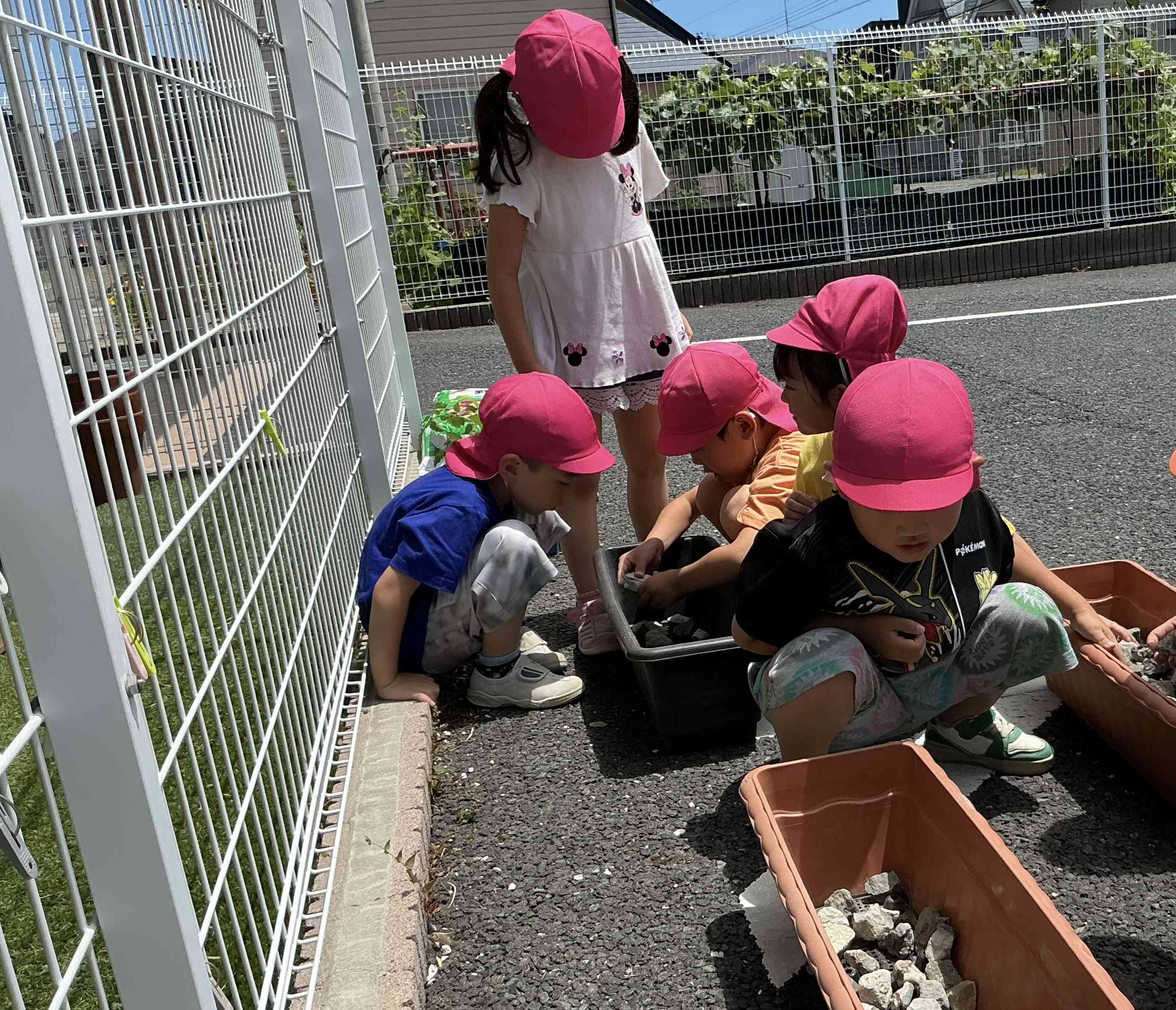 苗植え（5歳児）｜ニチイキッズ八戸しおかぜ保育園｜ニチイキッズ