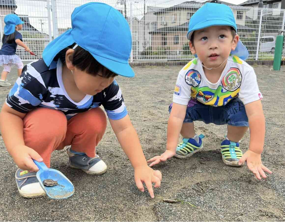 戸外遊び（１歳児あひる組・２歳児うさぎ組）
