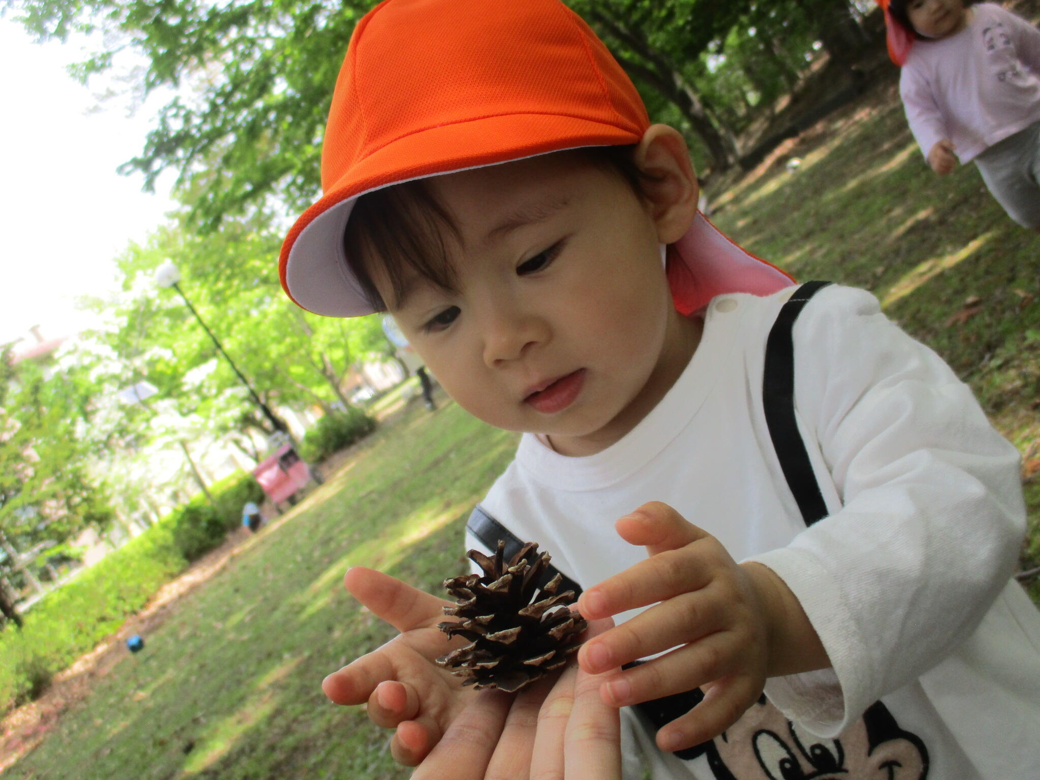 松ぼっくりみーつけた｜ニチイキッズ八戸ゆりの木保育園｜ニチイキッズ