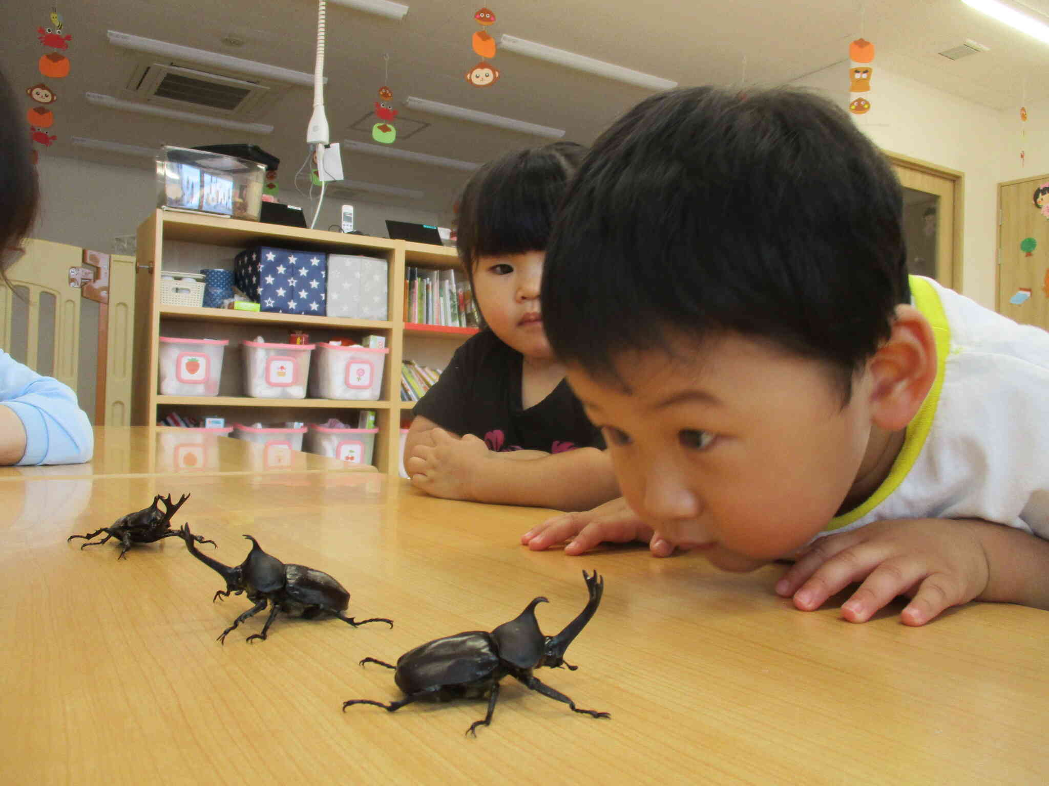 リアルなかぶと虫をじっと見つめていたね。
