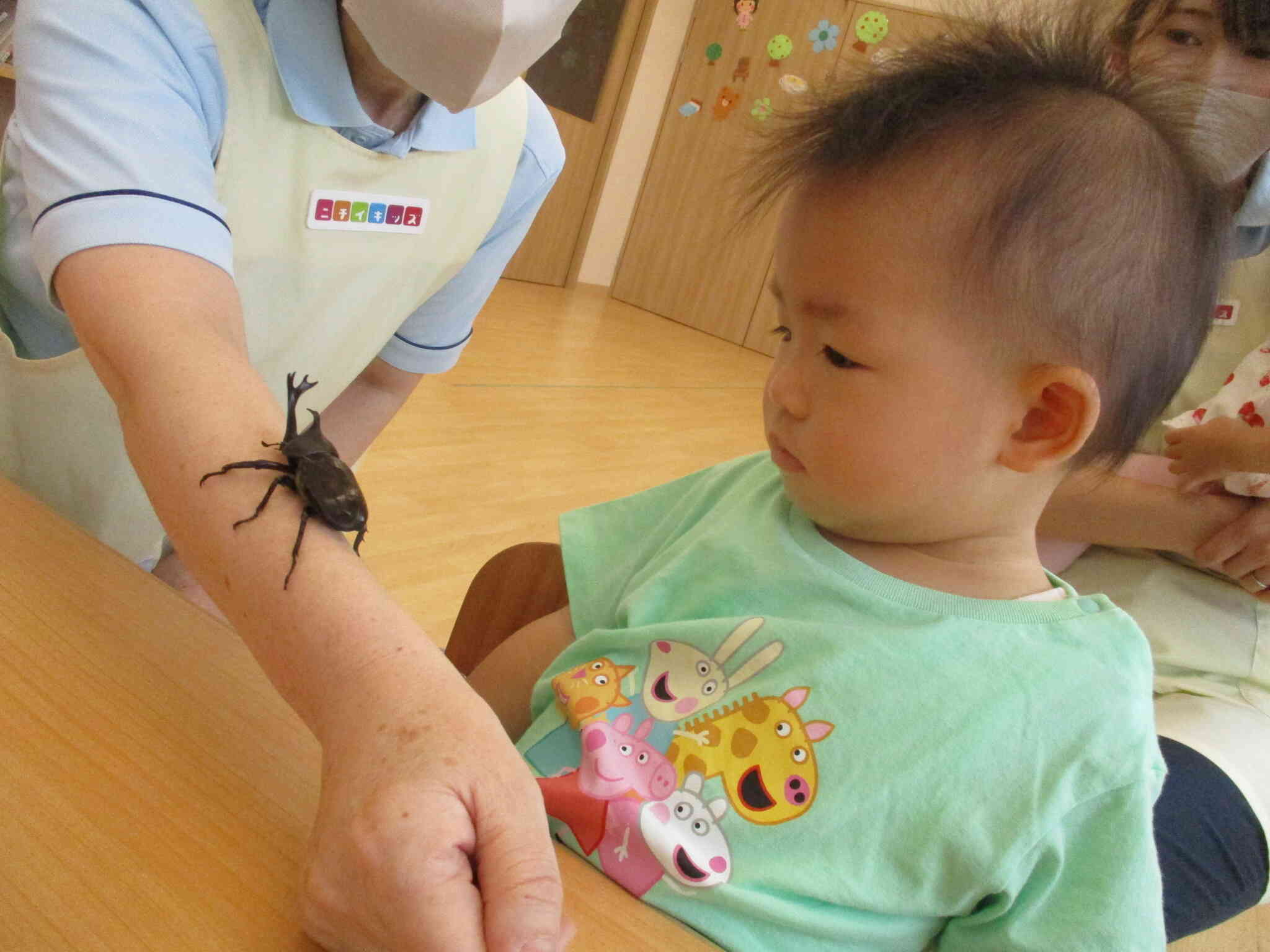 園長先生の腕を伝って歩くかぶと虫に不思議そうな表情を浮かべていたよ。