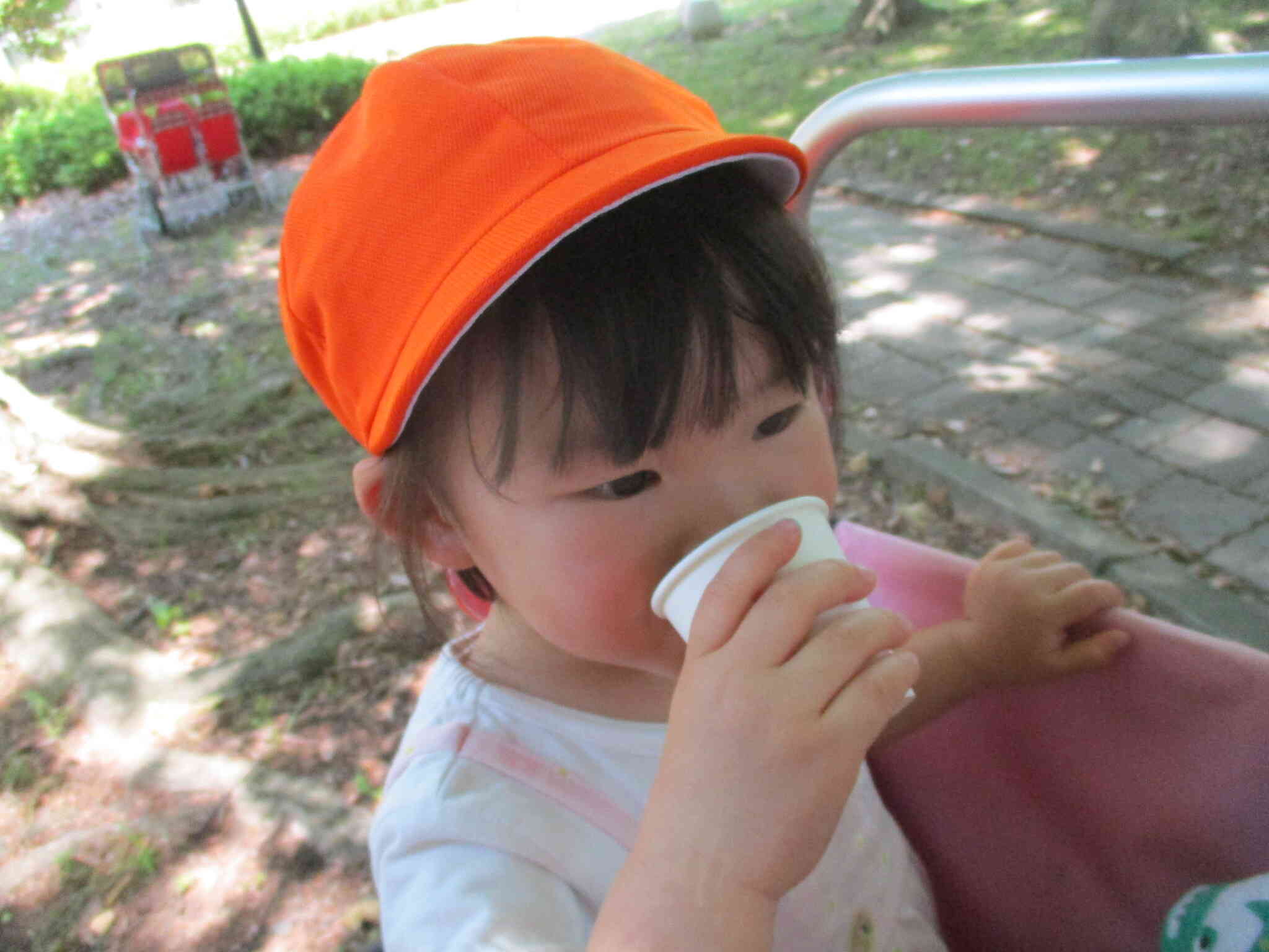 外で飲むお茶は一味違って美味しいね！