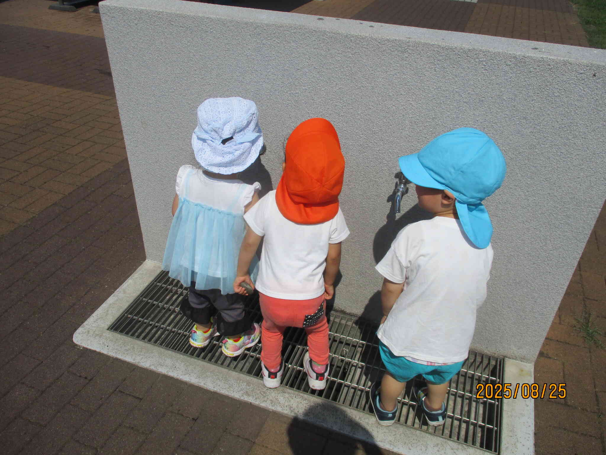 「だるまさんが転んだ！」をみんなでやったよ！