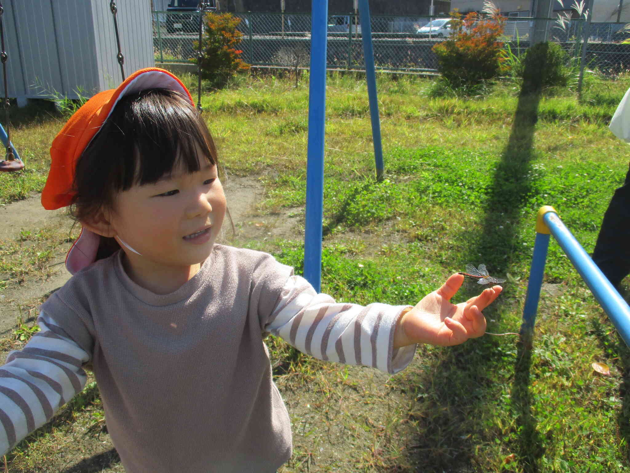 「見て～、私の指にもトンボさん、止まったよぉ～」