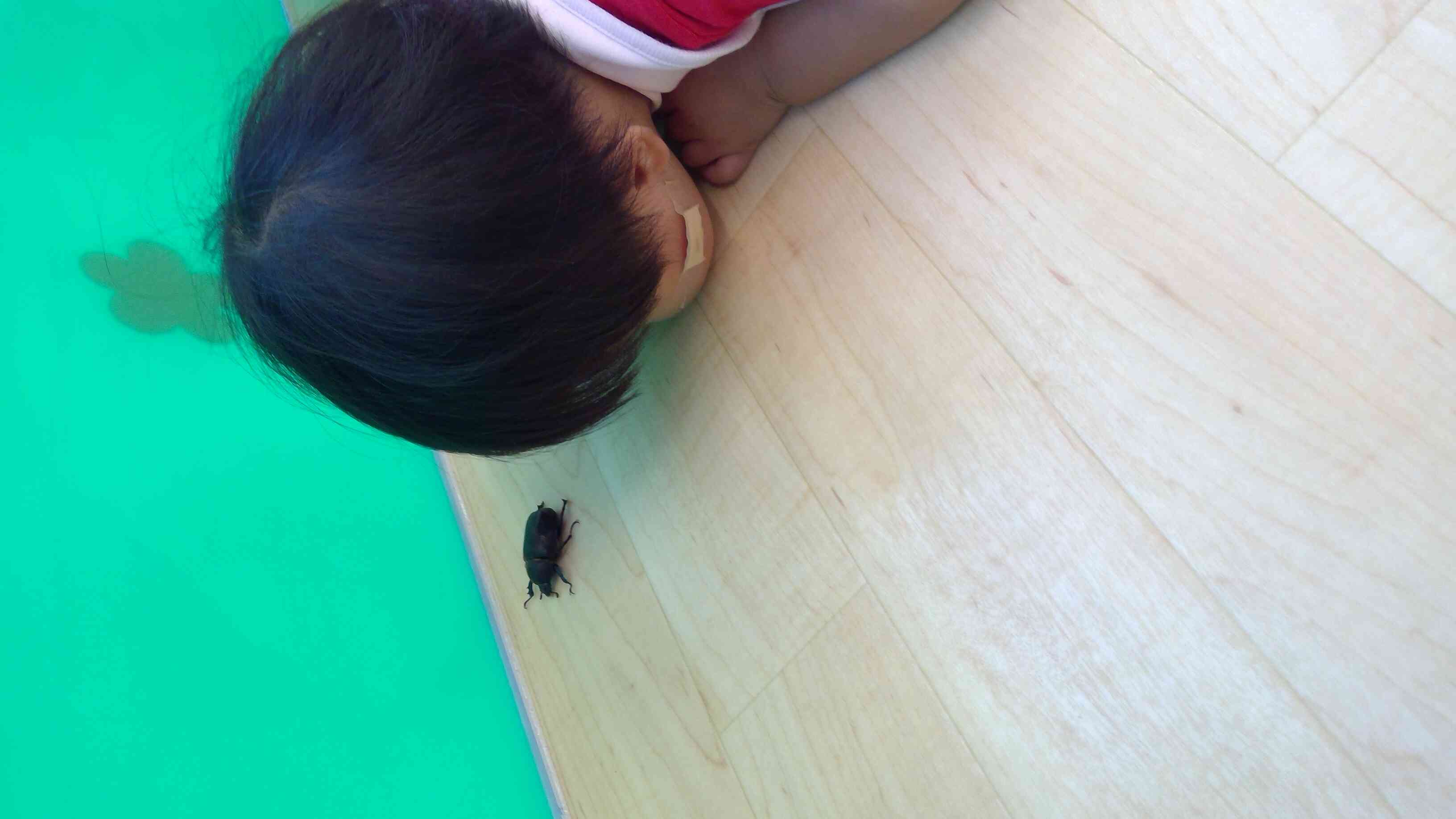 近くで観察してみようかな！
