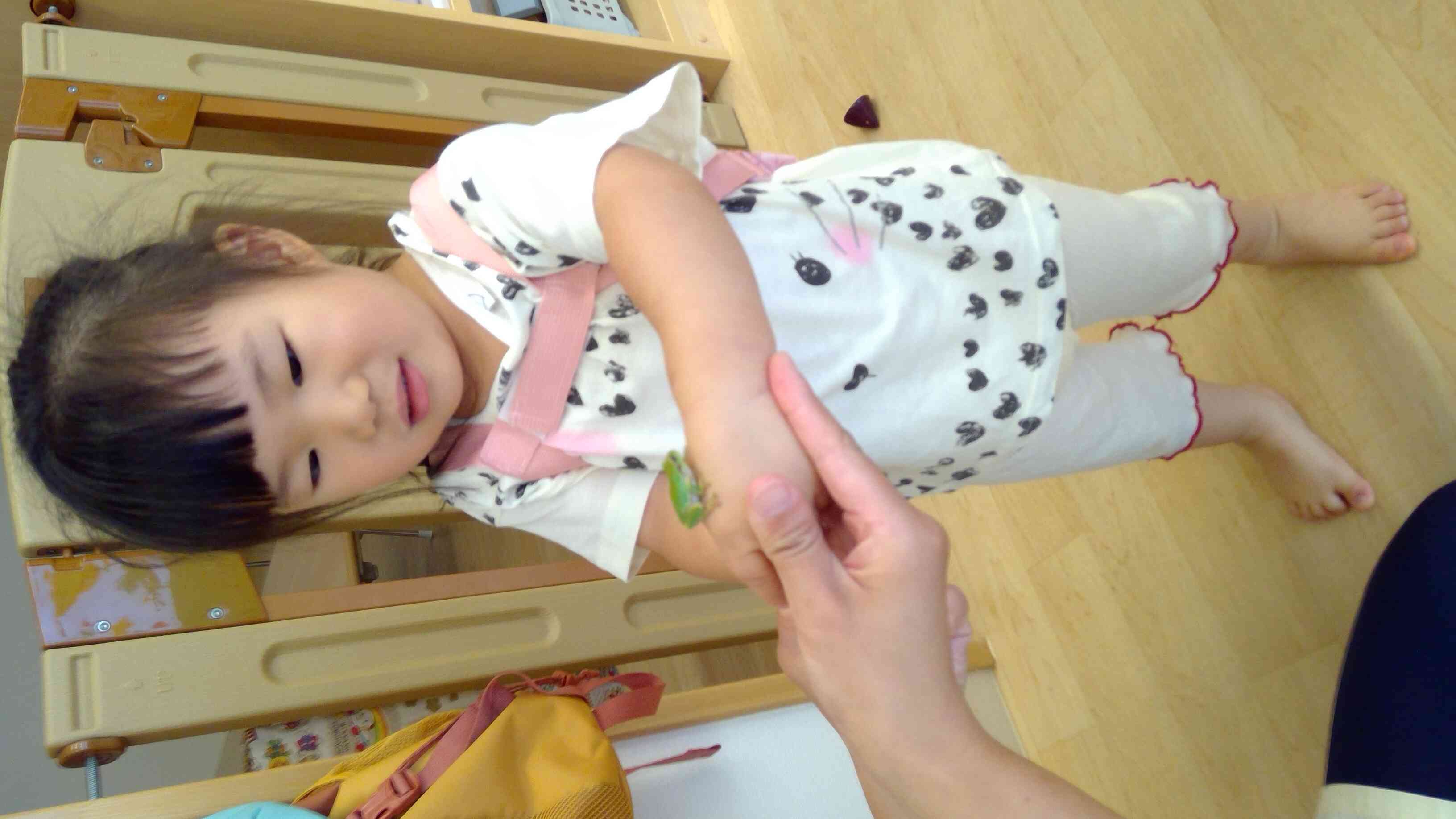 カエルさん怖いけど触れるかも…