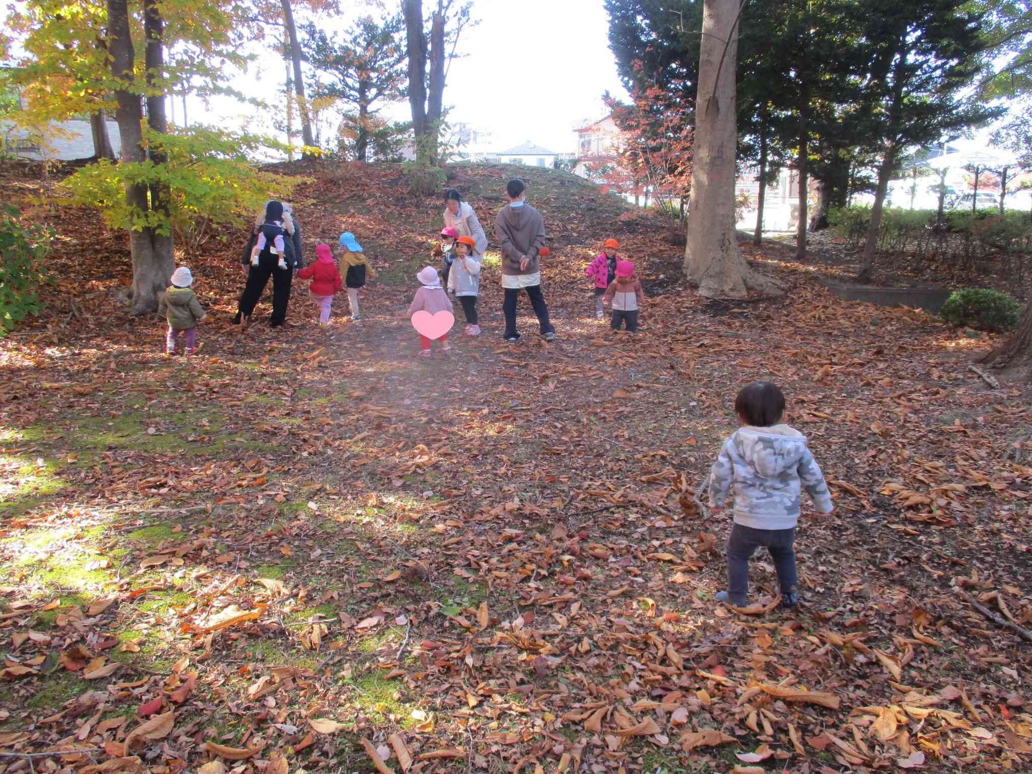 みんなでどんぐりを探したよ!