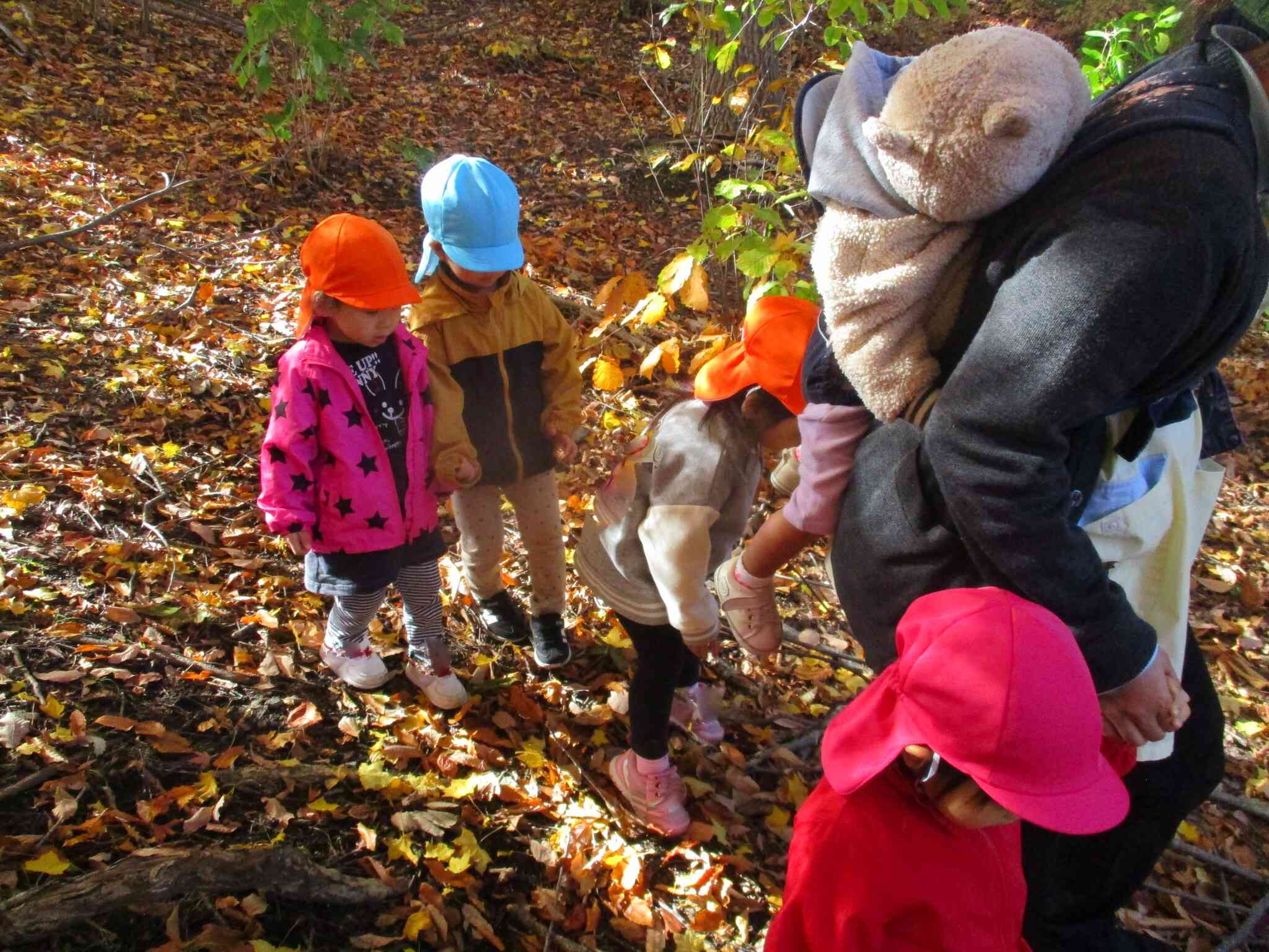 先生の後ろについてどんぐり探したよ～