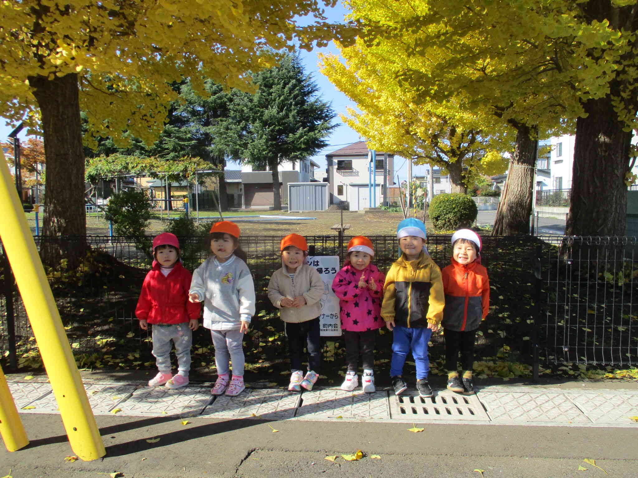 冬の訪れも感じるこの季節。落ち葉遊びもいっぱい楽しんだよ。