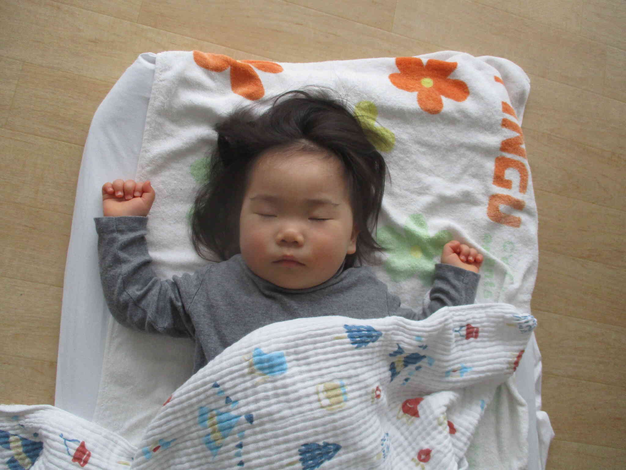 満腹になり爆睡中です。