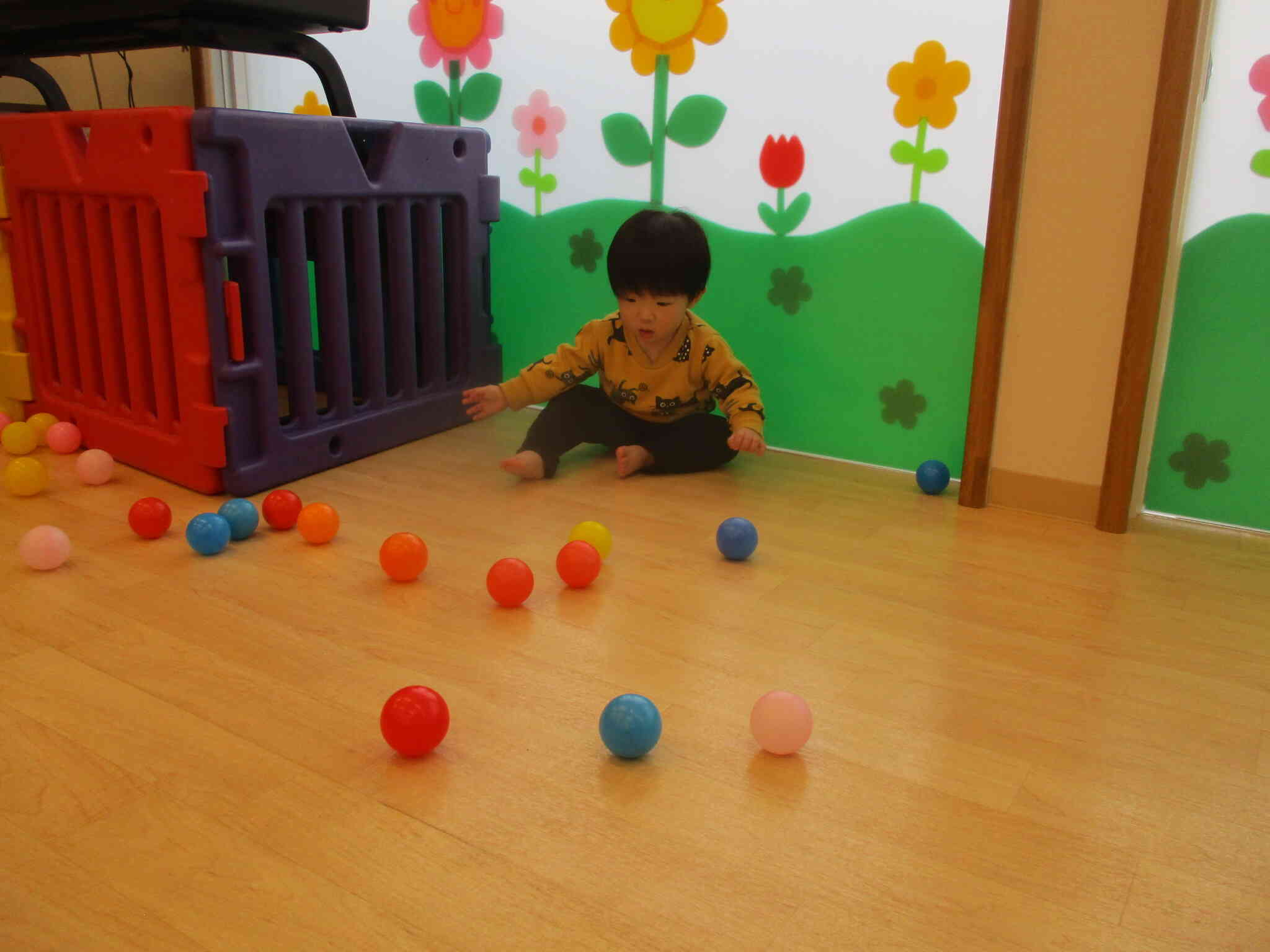 ボールを転がして遊ぶよ！