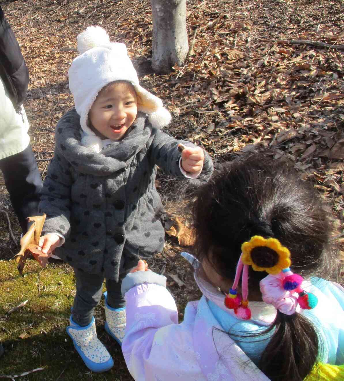 見つけた木の実を嬉しそうに友だちに見せています。