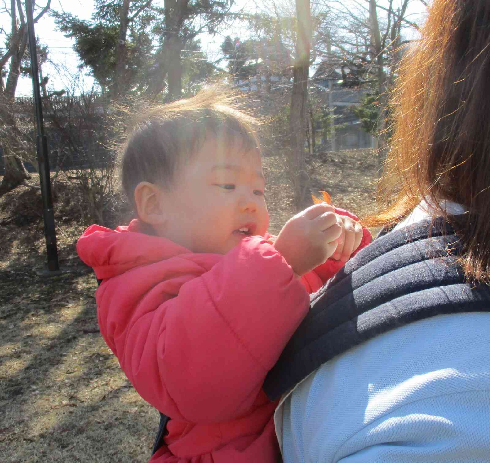 可愛い落ち葉もらえて良かったね。