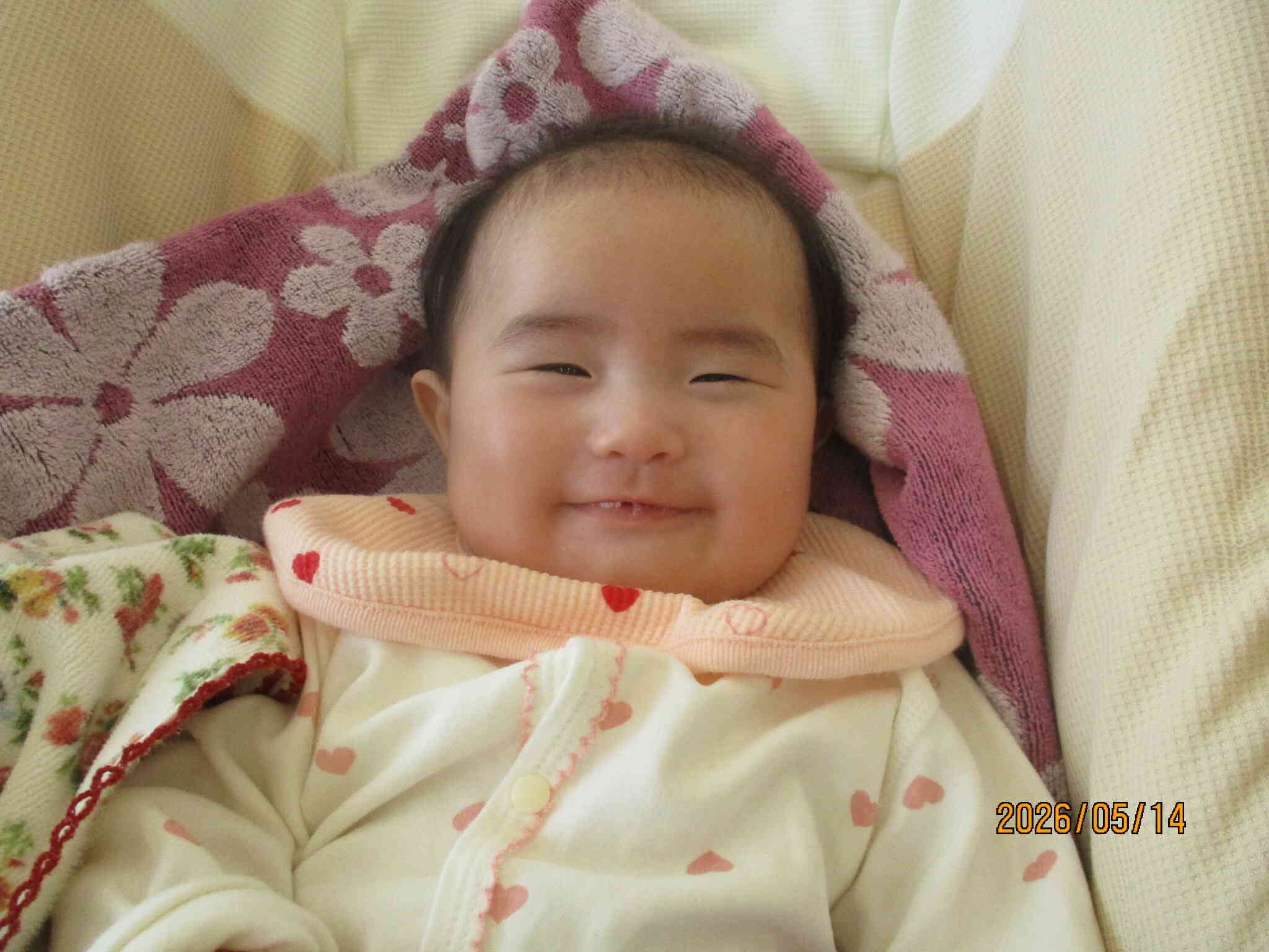 癒されます。