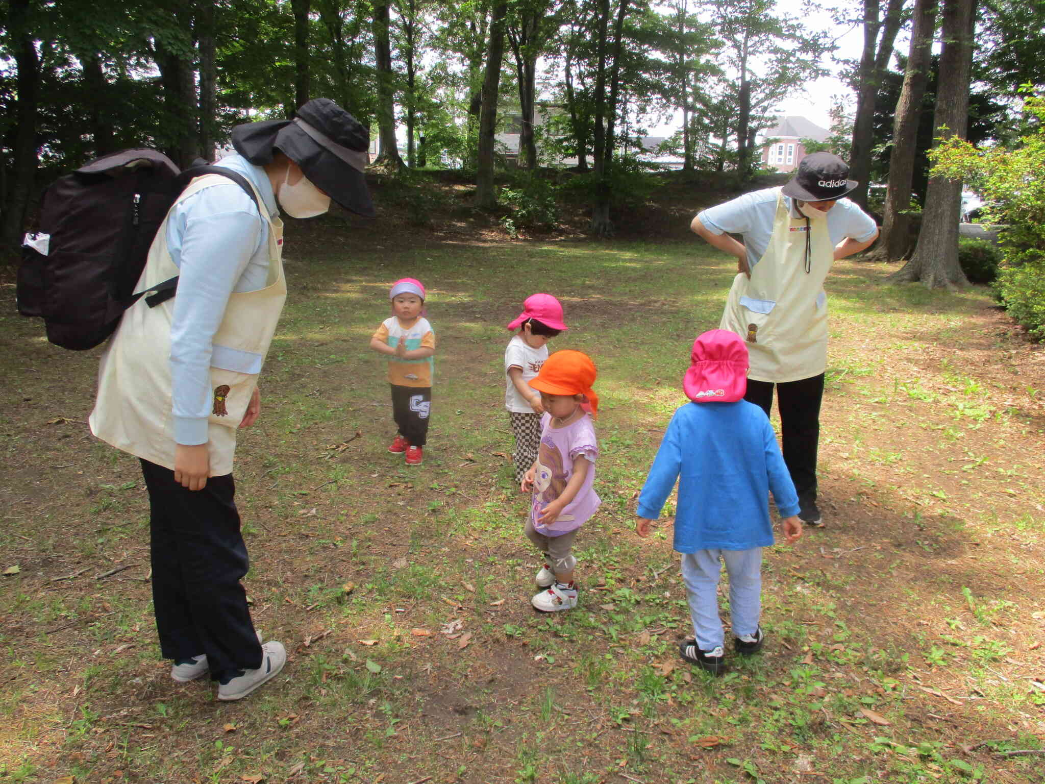 虫探しをしてきたよ！