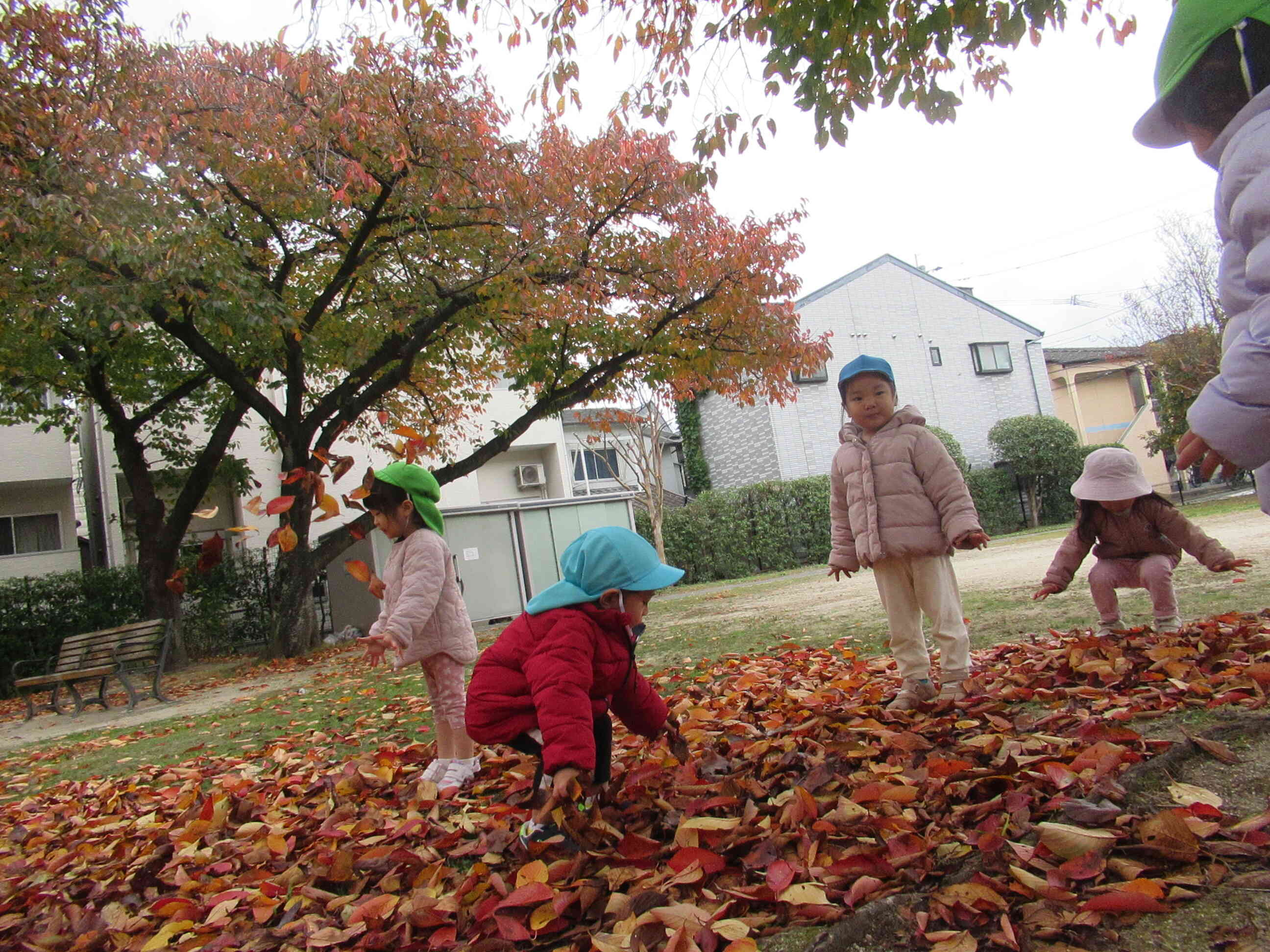 落ち葉たくさん！