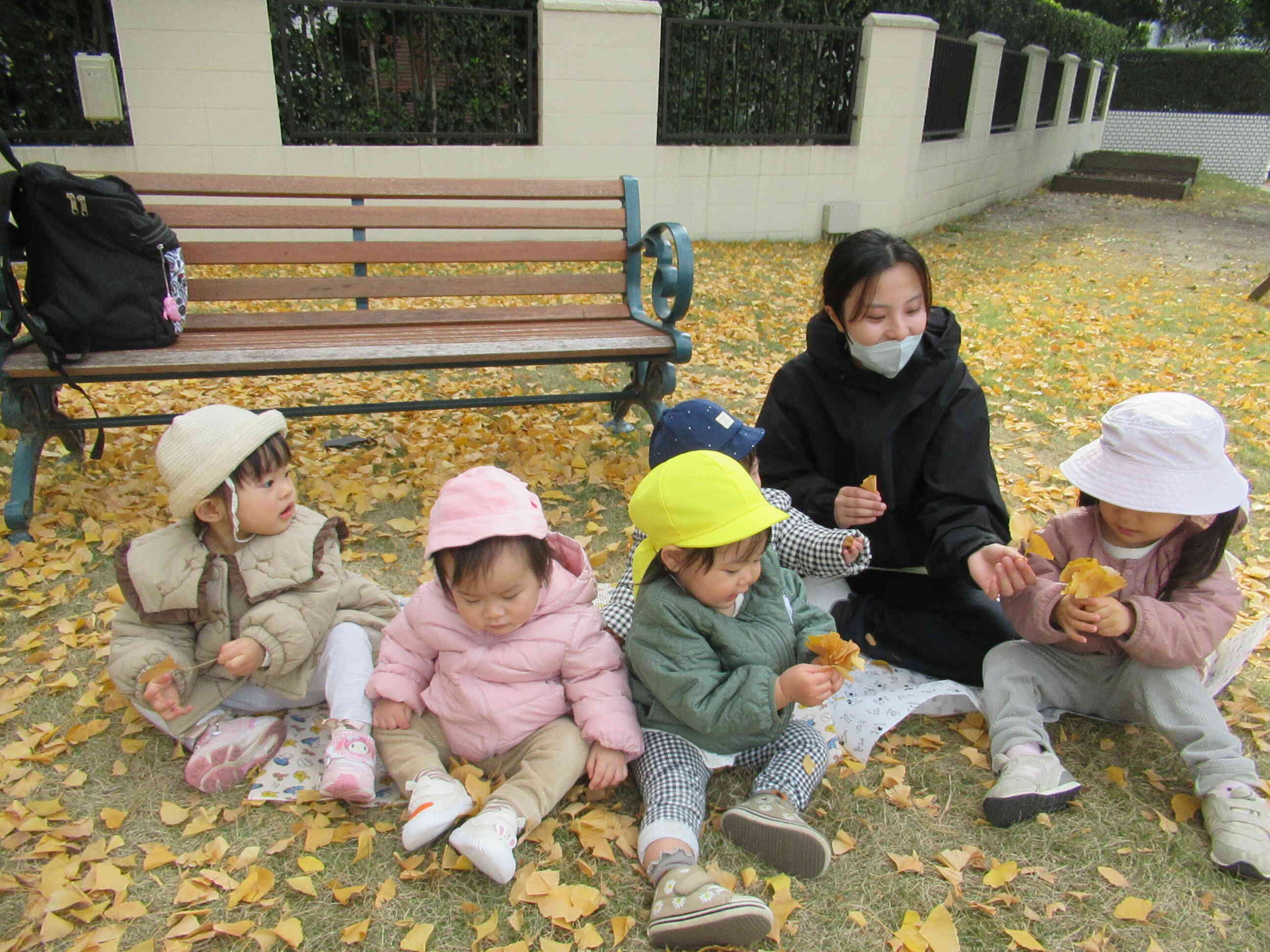 イチョウが綺麗だね！